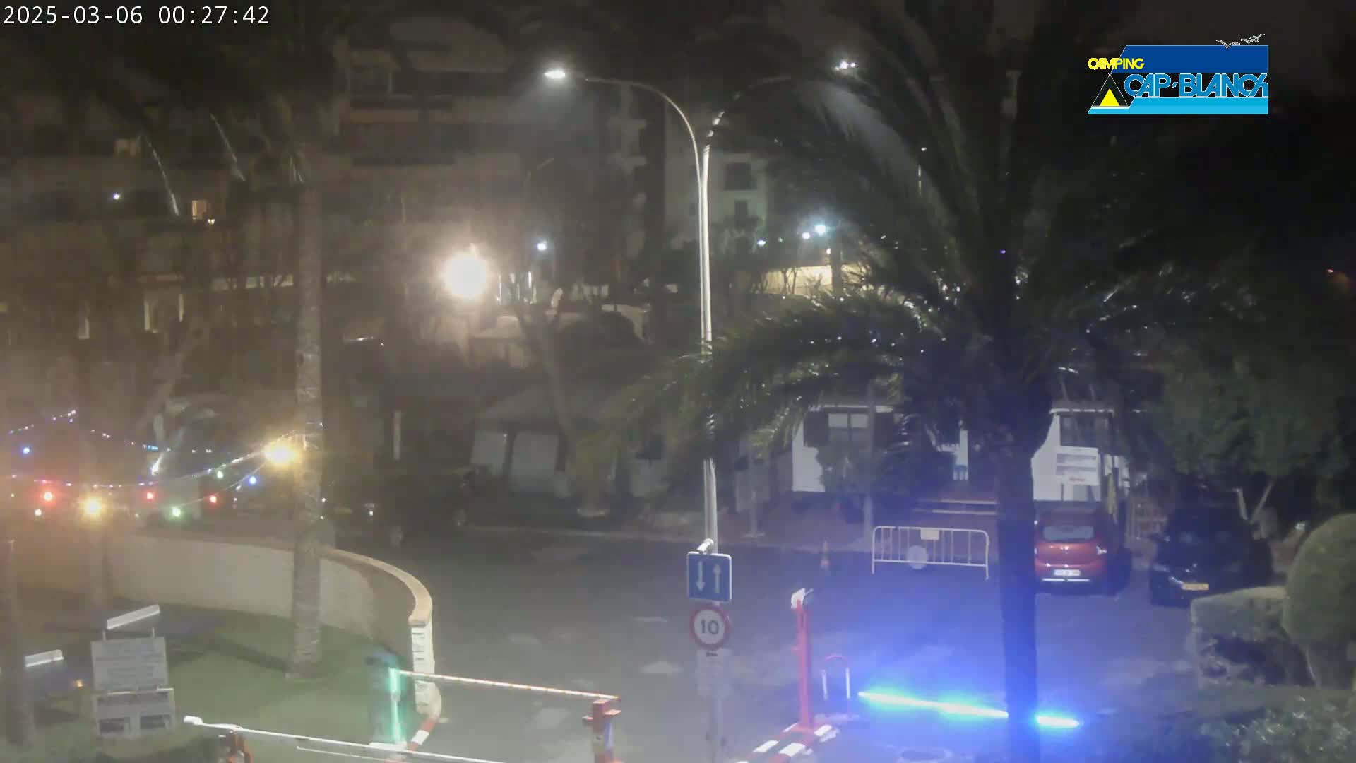 A nighttime street scene shows a few cars parked along a roadway under rain, surrounded by palm trees and buildings with streetlights.