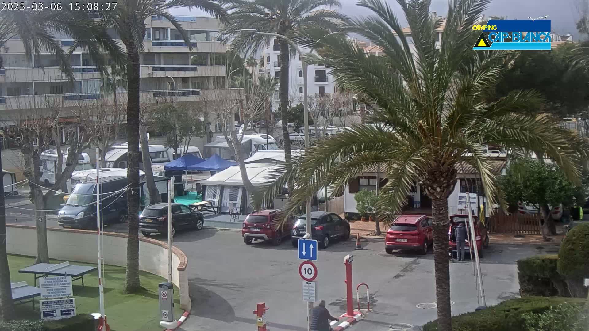 A sunny outdoor scene shows a parking lot filled with camper vans and cars near apartment buildings and palm trees.
