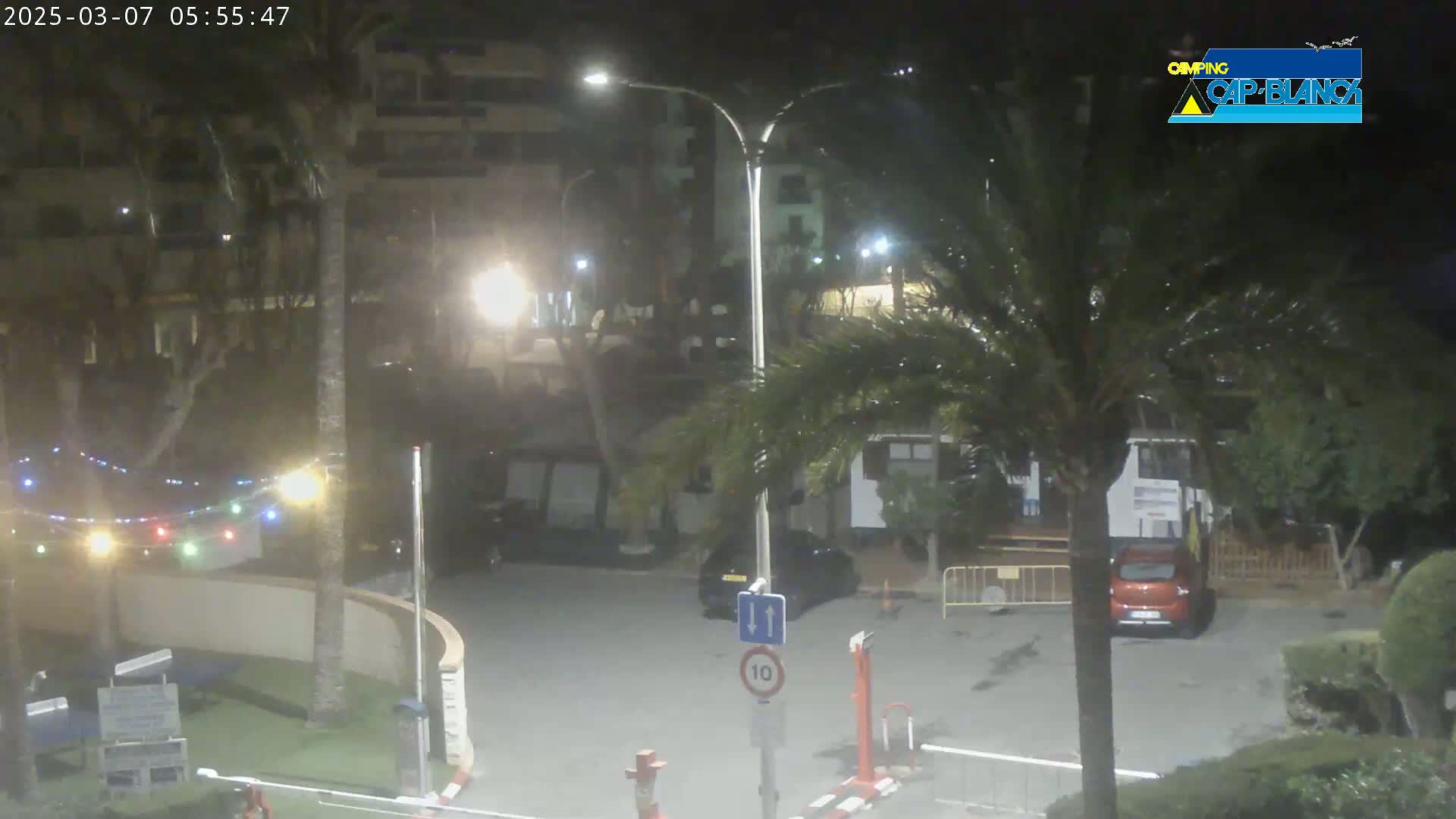 A nighttime view of a parking lot and surrounding buildings, illuminated by streetlights, with palm trees and string lights visible.