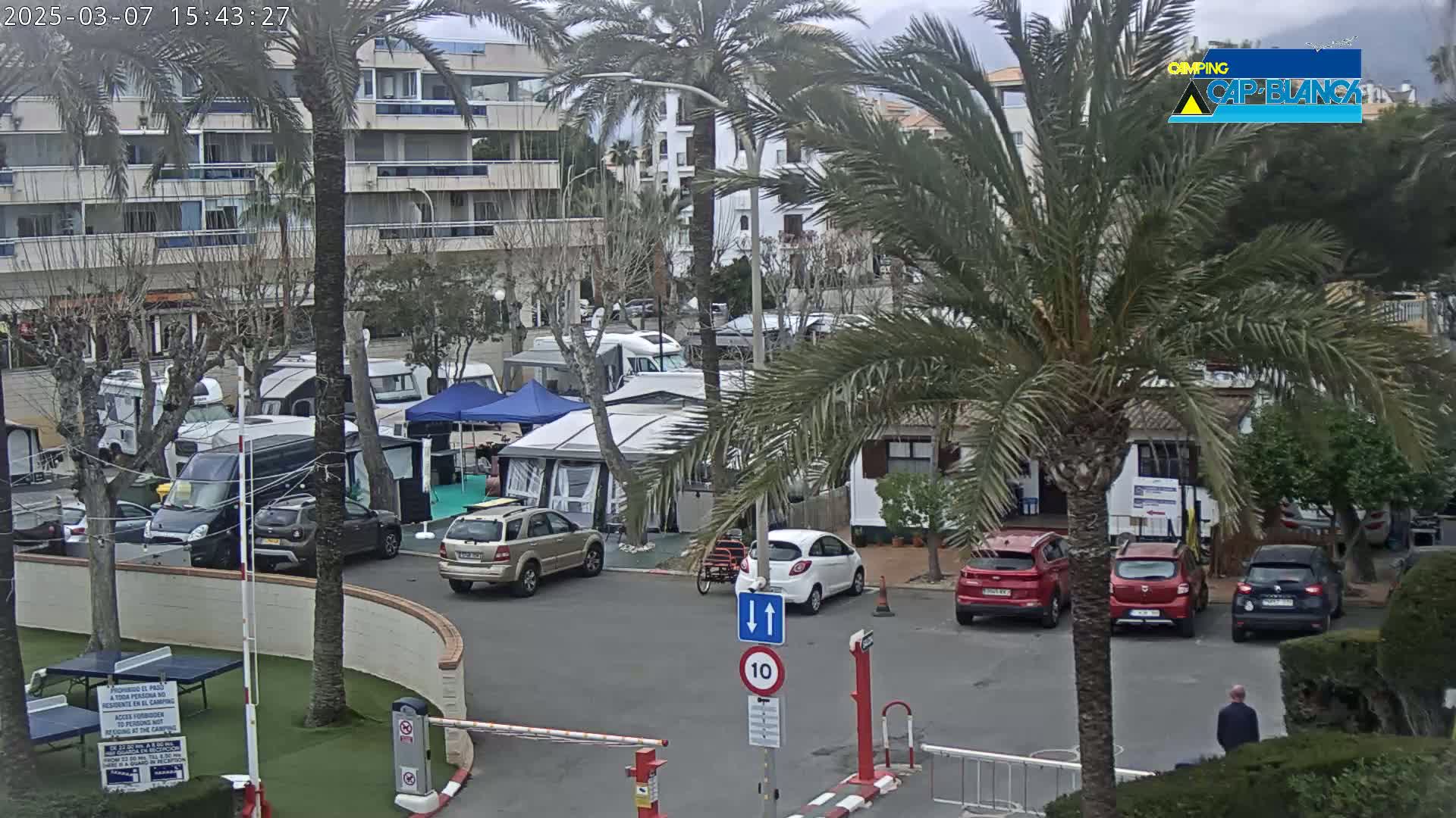 A parking lot with numerous campervans and cars, surrounded by palm trees and apartment buildings, under an overcast sky.