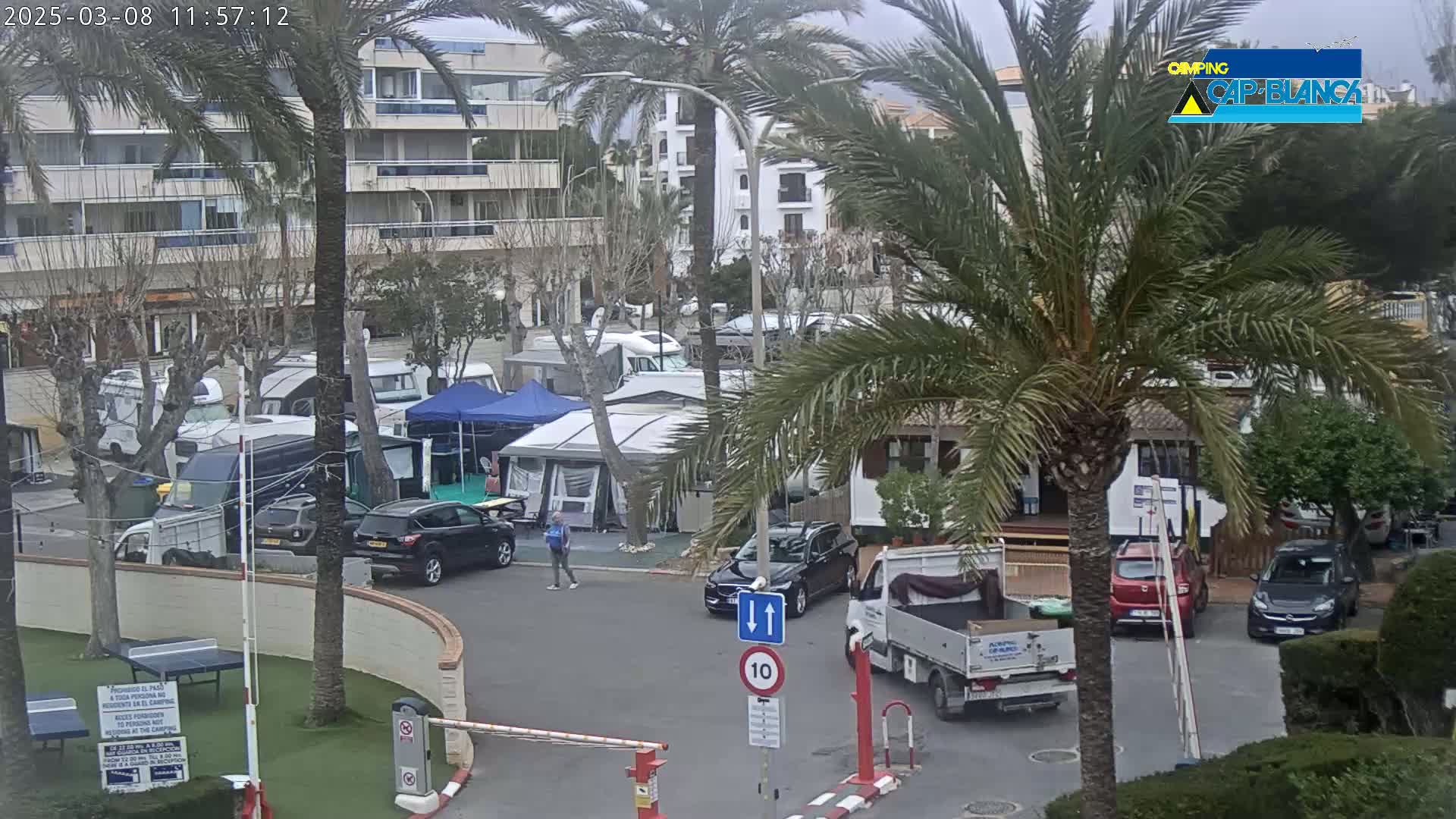 A cloudy day at a campground with numerous RVs and cars parked among palm trees and apartment buildings.