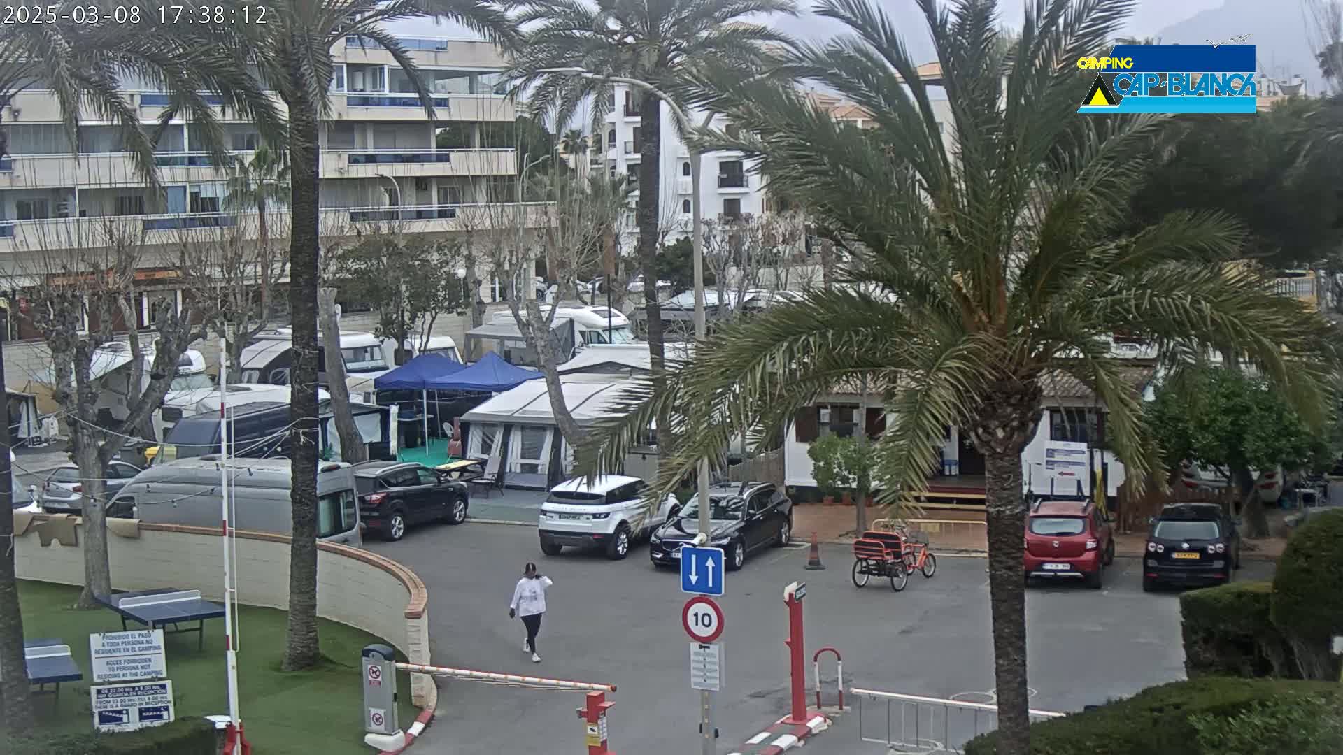 A parking lot filled with campervans and cars under an overcast sky, surrounded by palm trees and apartment buildings.