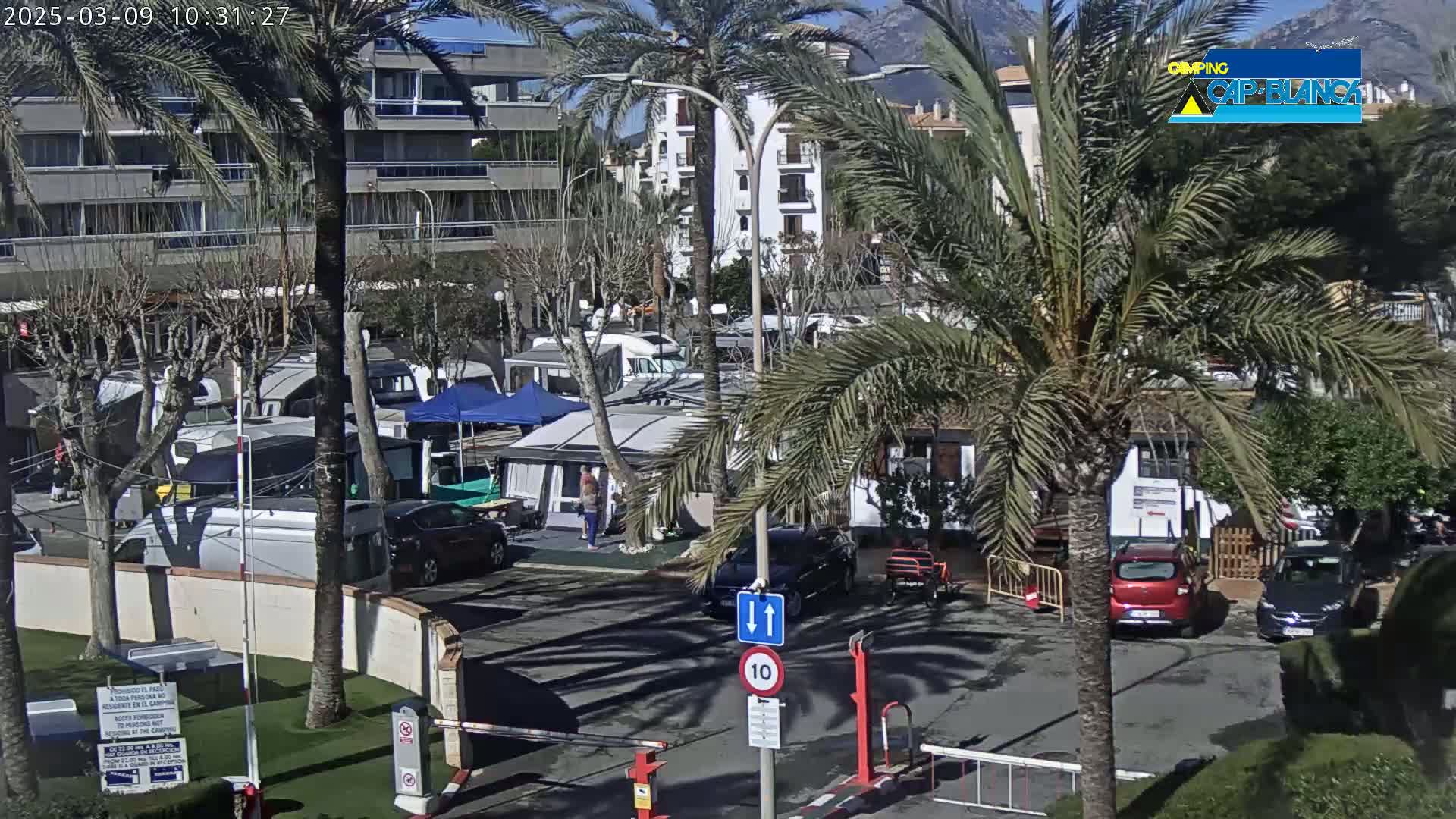 A sunny day reveals a parking lot filled with campervans and cars, surrounded by palm trees and apartment buildings, with mountains in the background.