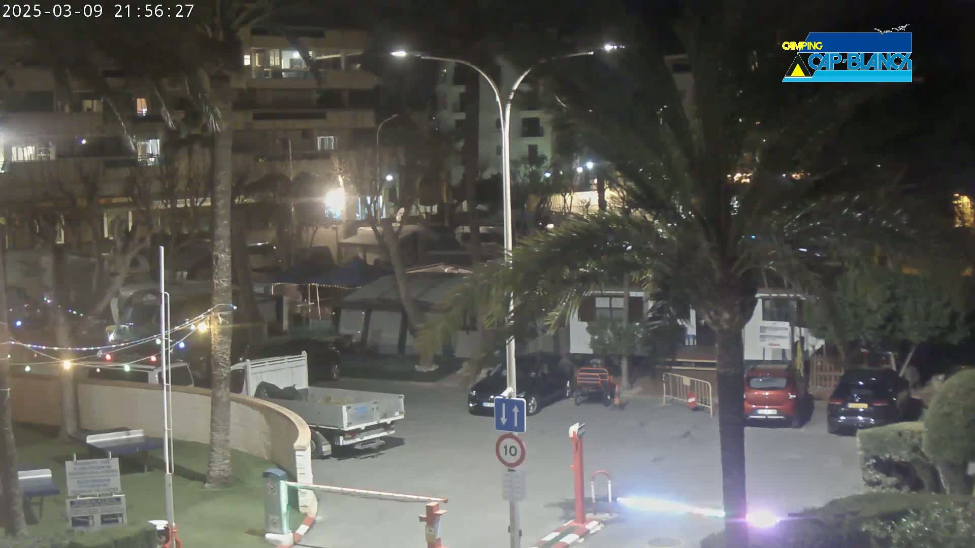A nighttime scene of a parking lot with several cars and a truck, surrounded by palm trees and buildings, under clear skies.