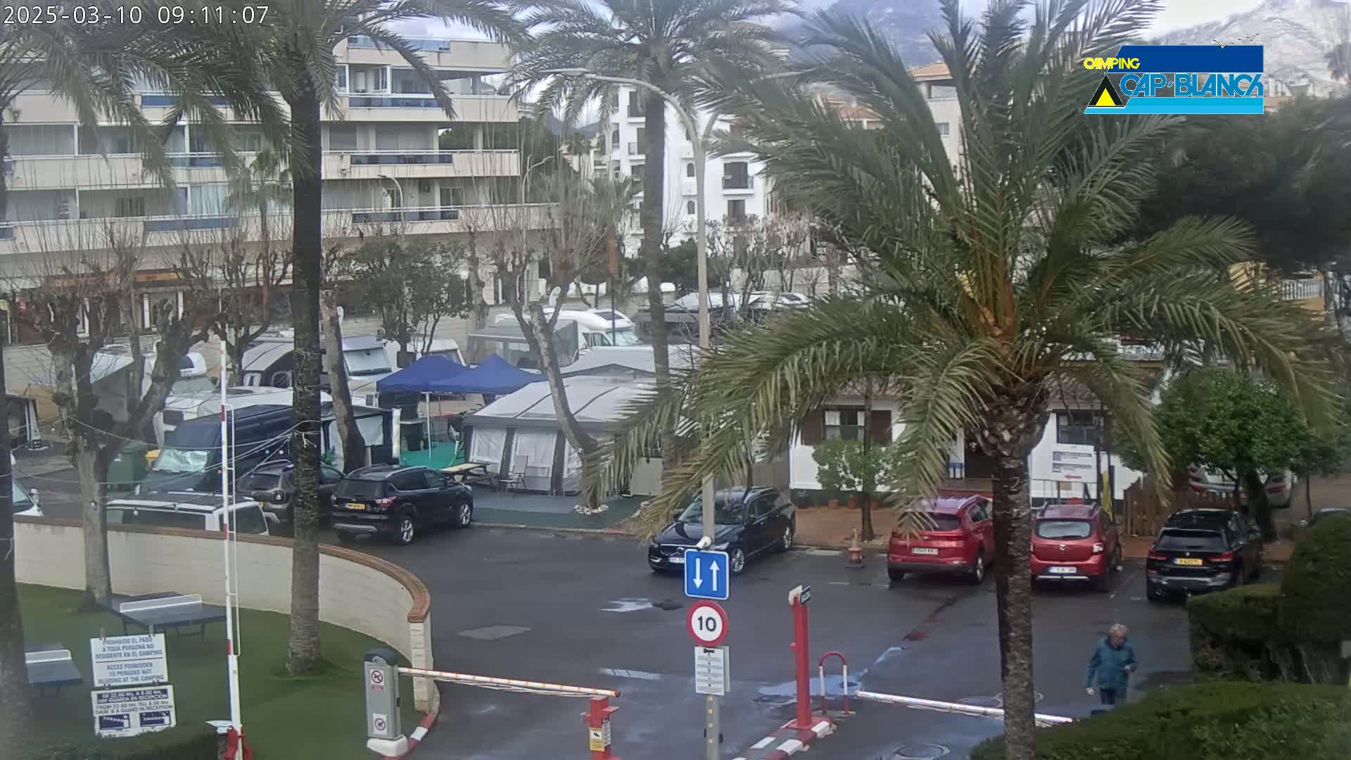 A wet parking lot with cars and RVs, surrounded by palm trees and buildings, under an overcast sky.