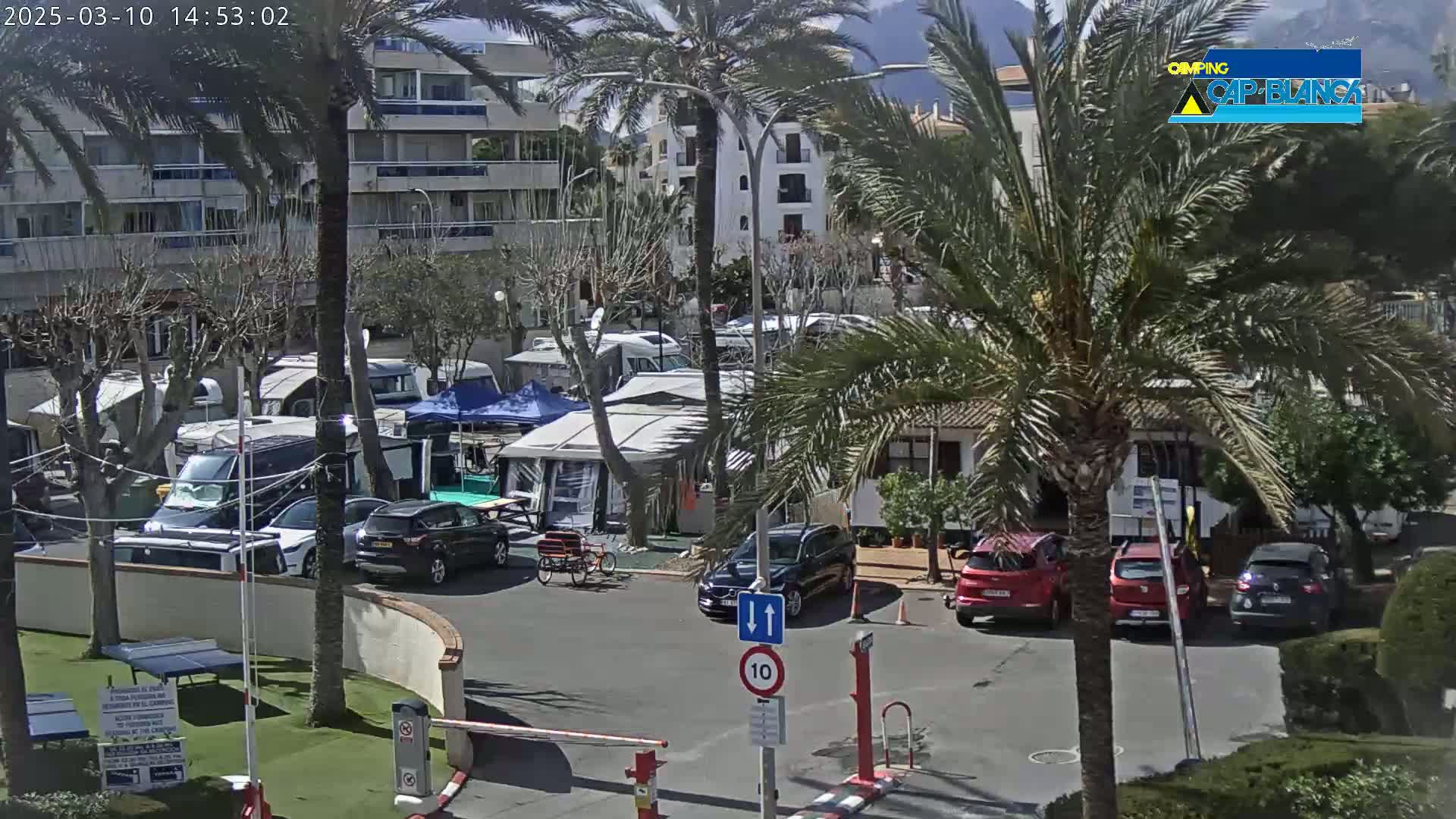 A sunny day at a campground with numerous RVs and cars parked near apartment buildings and palm trees.