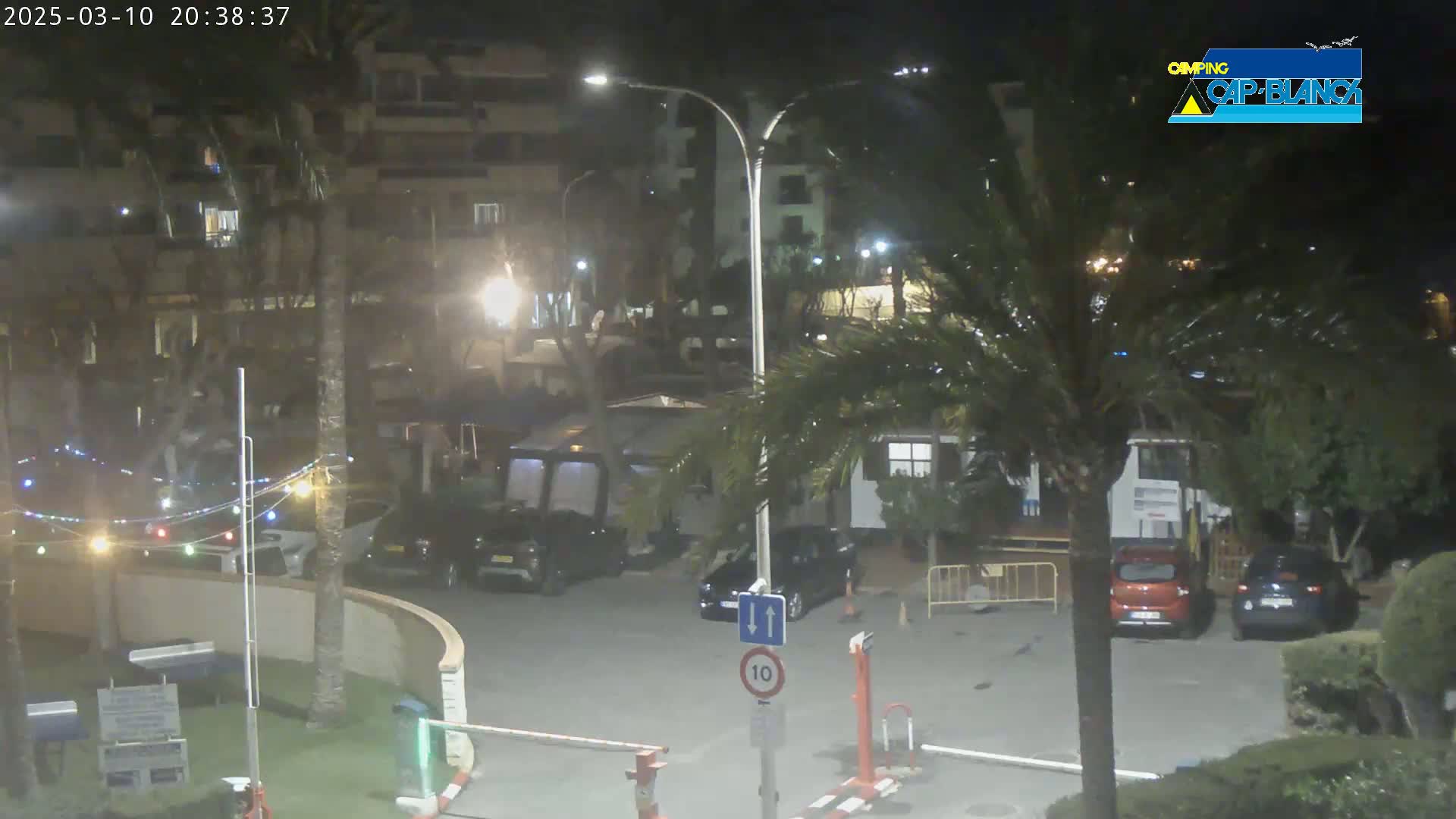 A nighttime view of a parking lot with several cars, palm trees, and buildings, illuminated by streetlights.