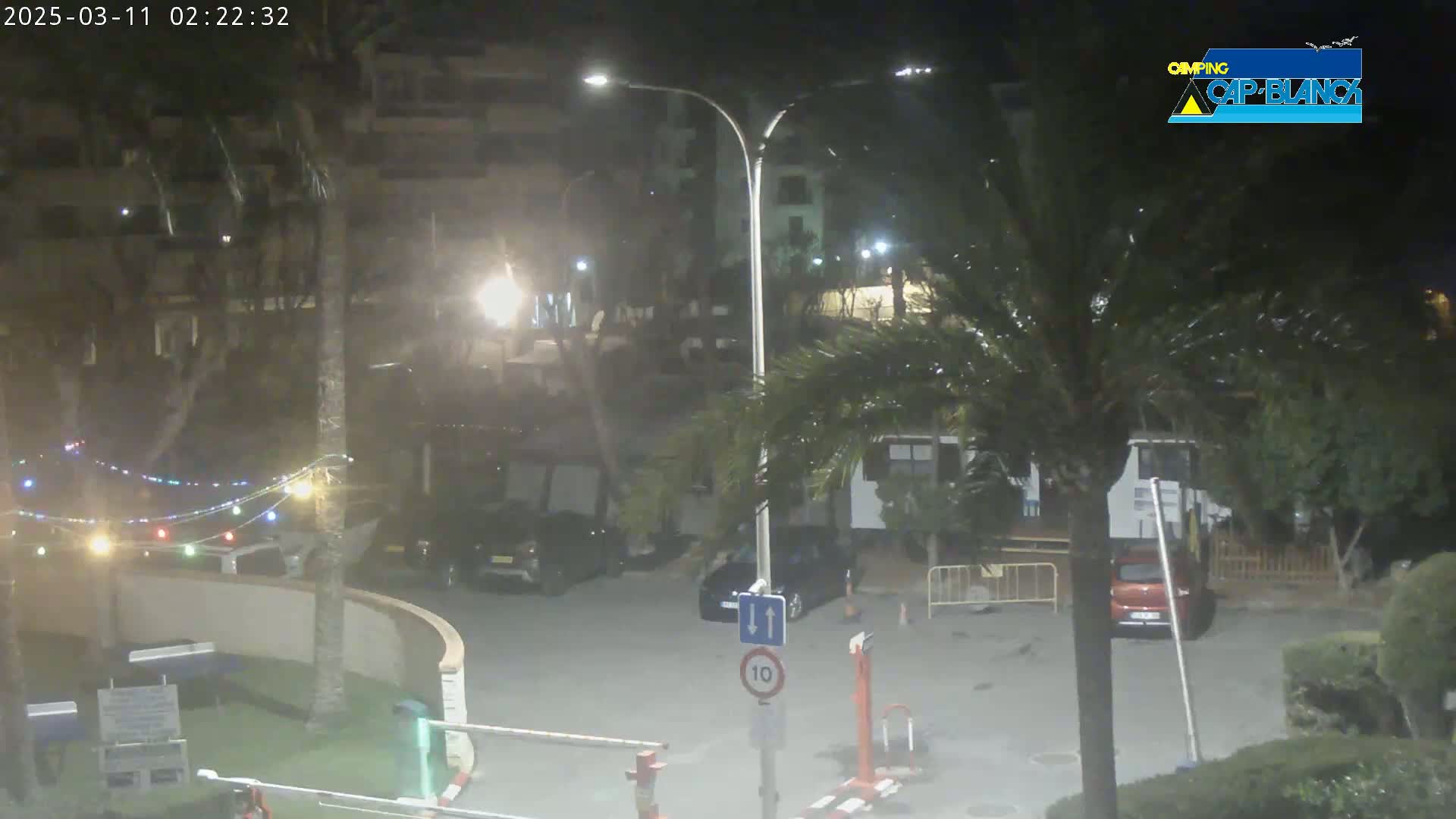 A nighttime scene shows a parking lot with several cars, palm trees, and string lights, under hazy conditions.