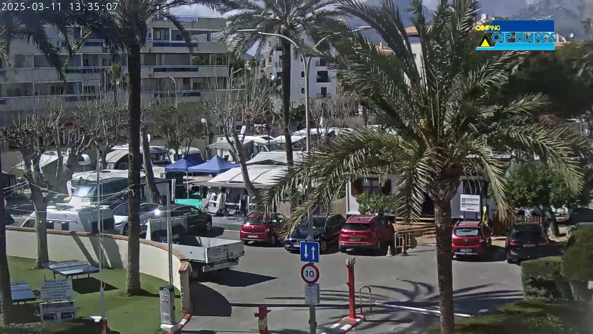 A sunny outdoor scene shows a parking lot filled with camper vans and cars, surrounded by palm trees and apartment buildings.