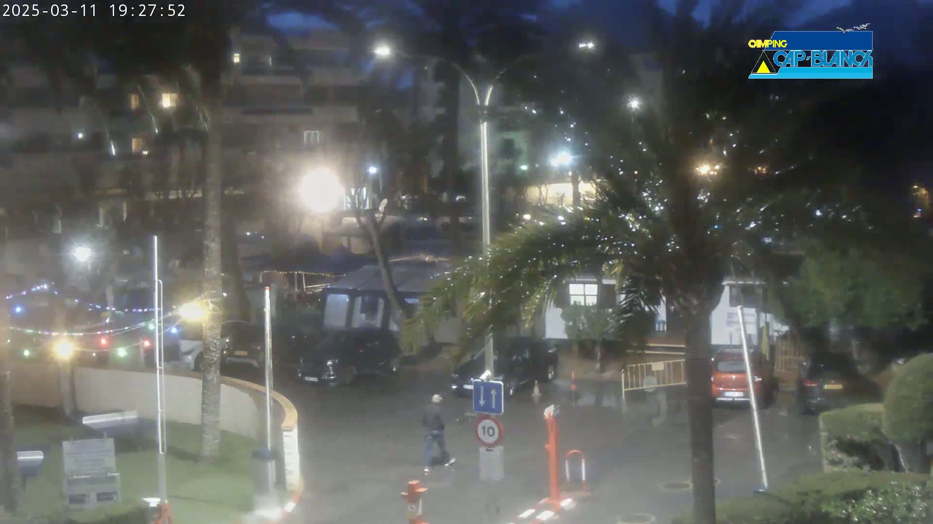 A nighttime, rainy scene shows a street with parked cars, palm trees, and streetlights illuminating a wet roadway.