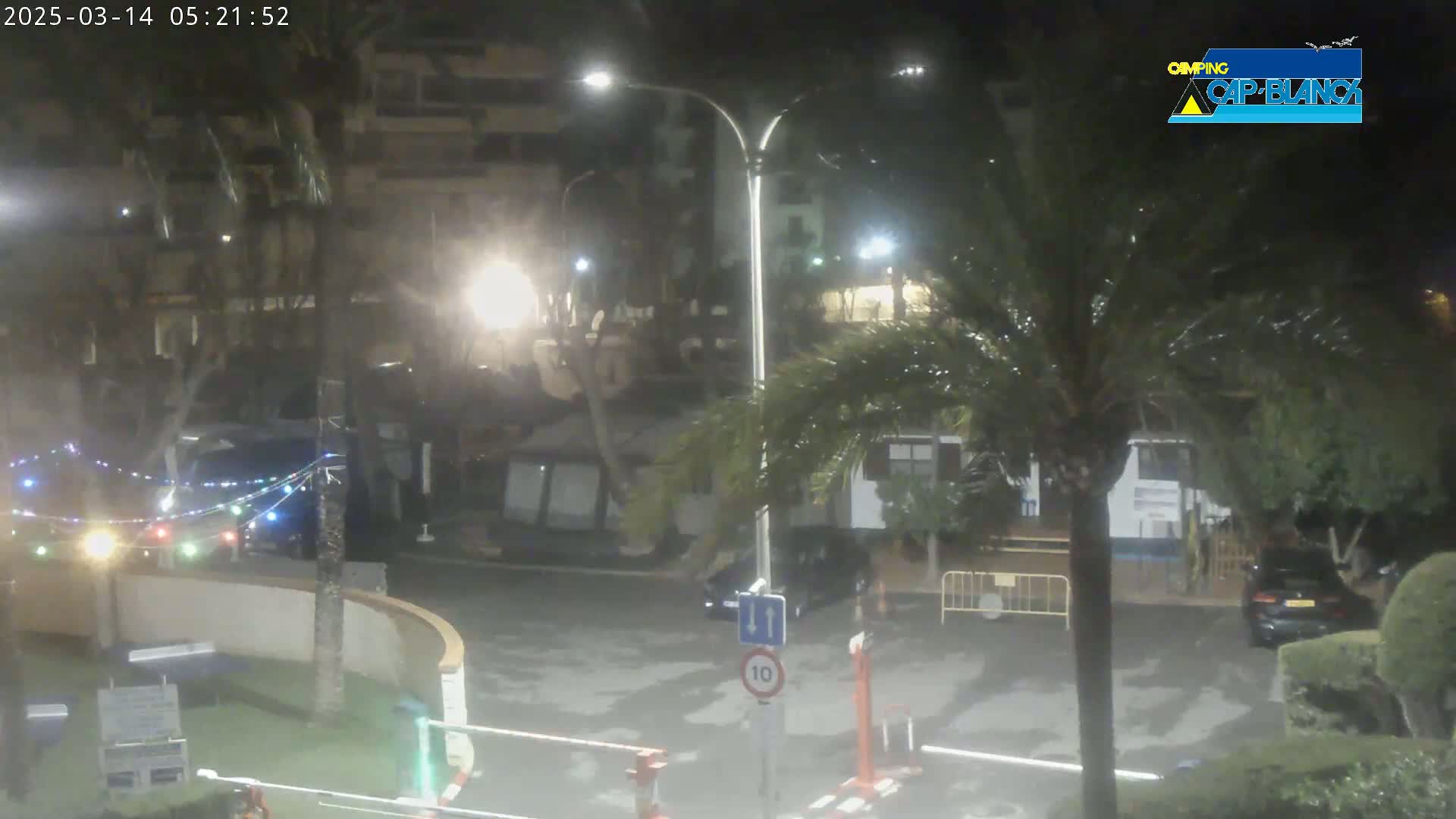 A nighttime, rain-slicked street scene shows a few parked cars, palm trees, and buildings with string lights, under streetlights.