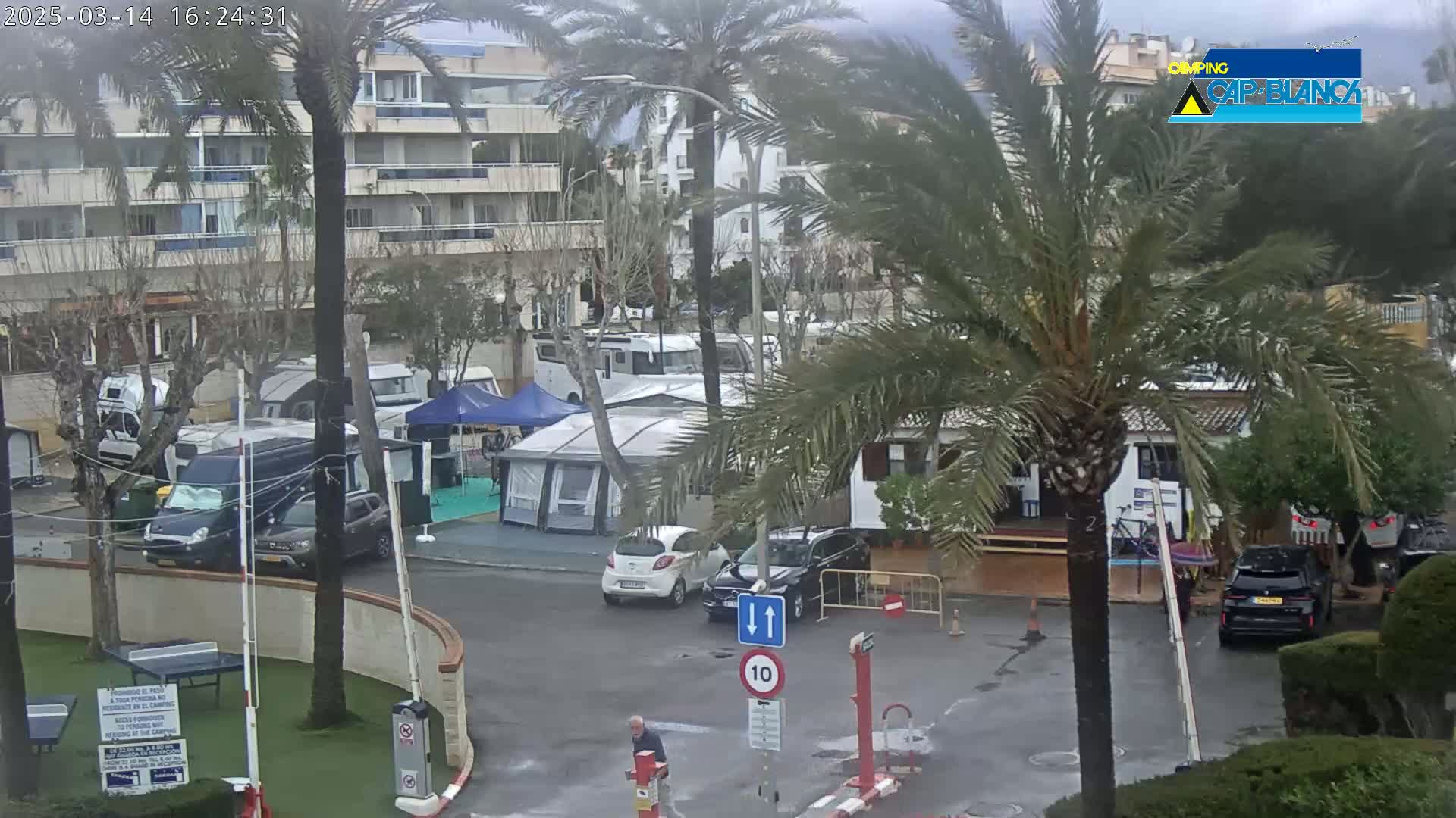 A wet parking lot with numerous RVs, tents, and cars is surrounded by palm trees and apartment buildings under an overcast sky.