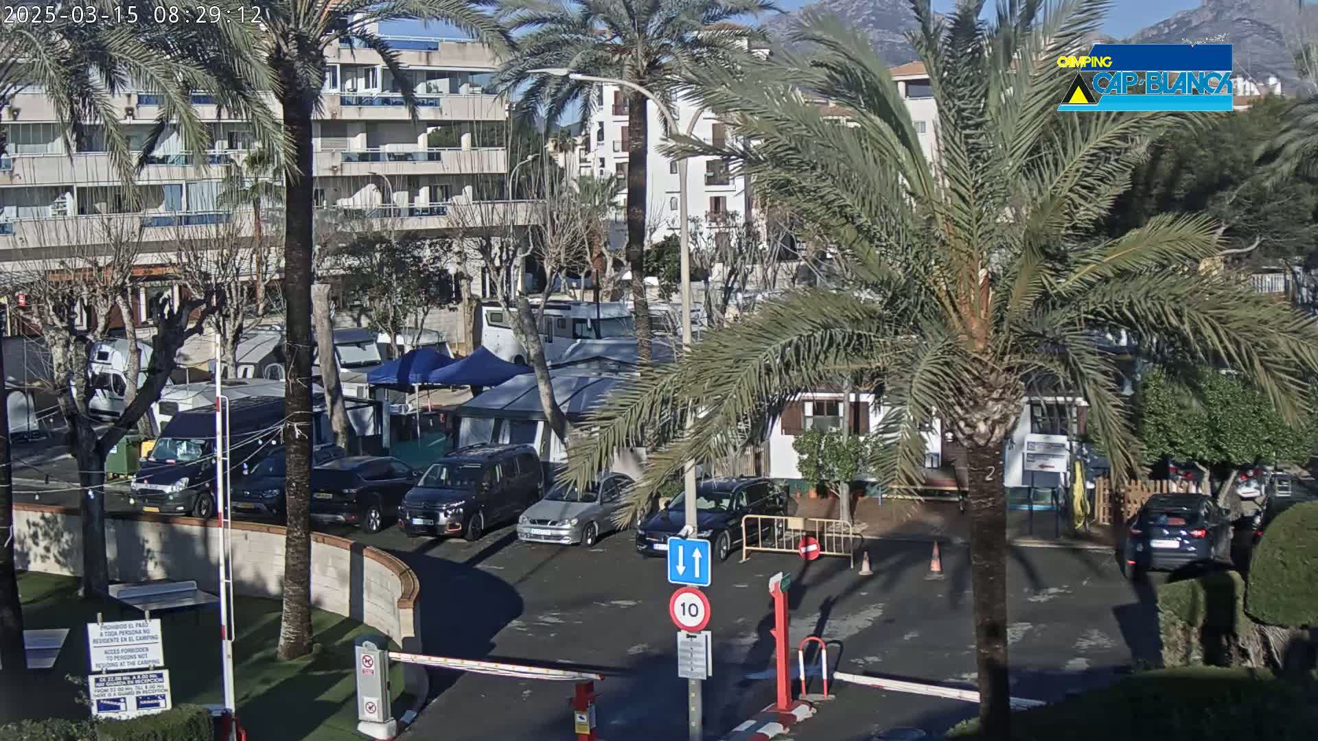 A sunny day in a parking lot with several RVs and cars parked near a multi-story building surrounded by palm trees and low shrubs.