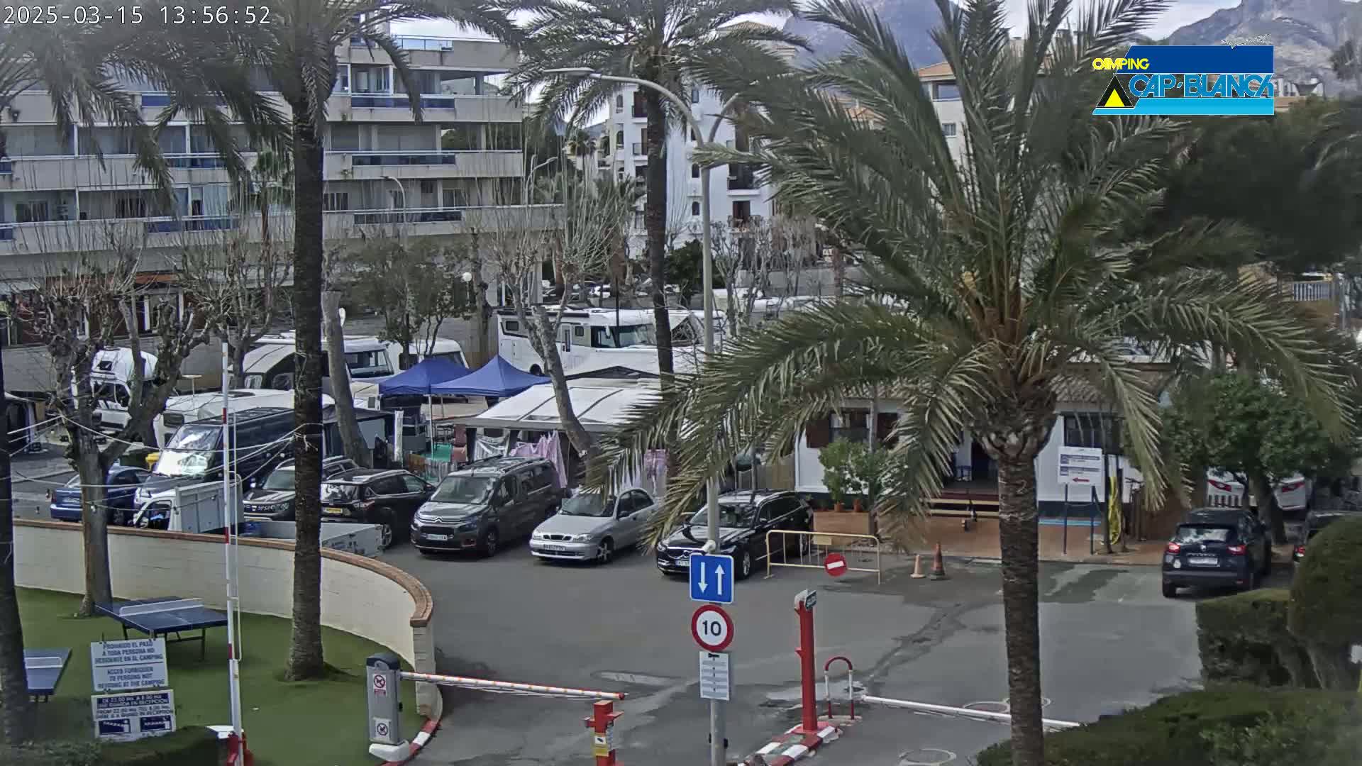A parking lot with numerous cars and RVs is situated near several buildings under an overcast sky, with palm trees scattered throughout.