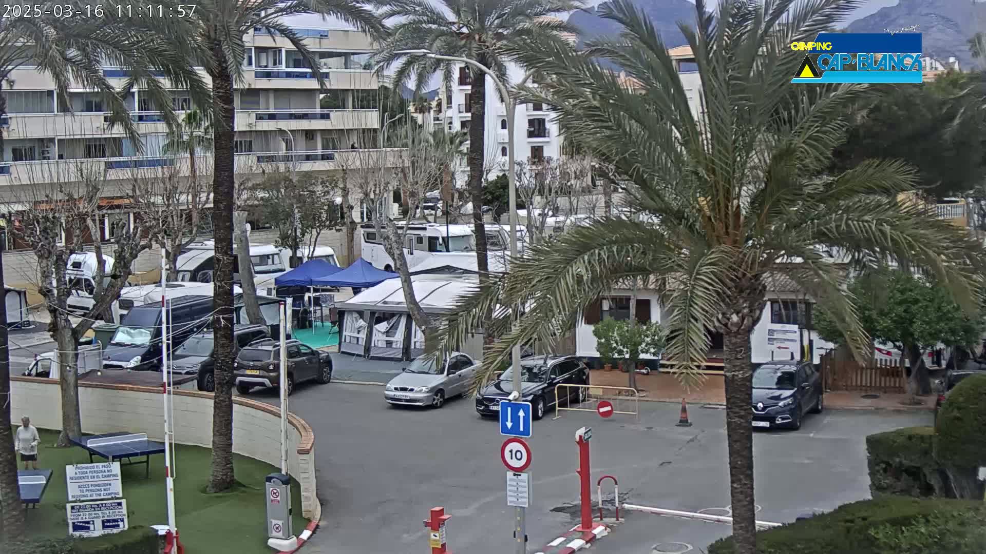 A parking lot with numerous RVs and cars is nestled among palm trees and buildings under a cloudy sky.