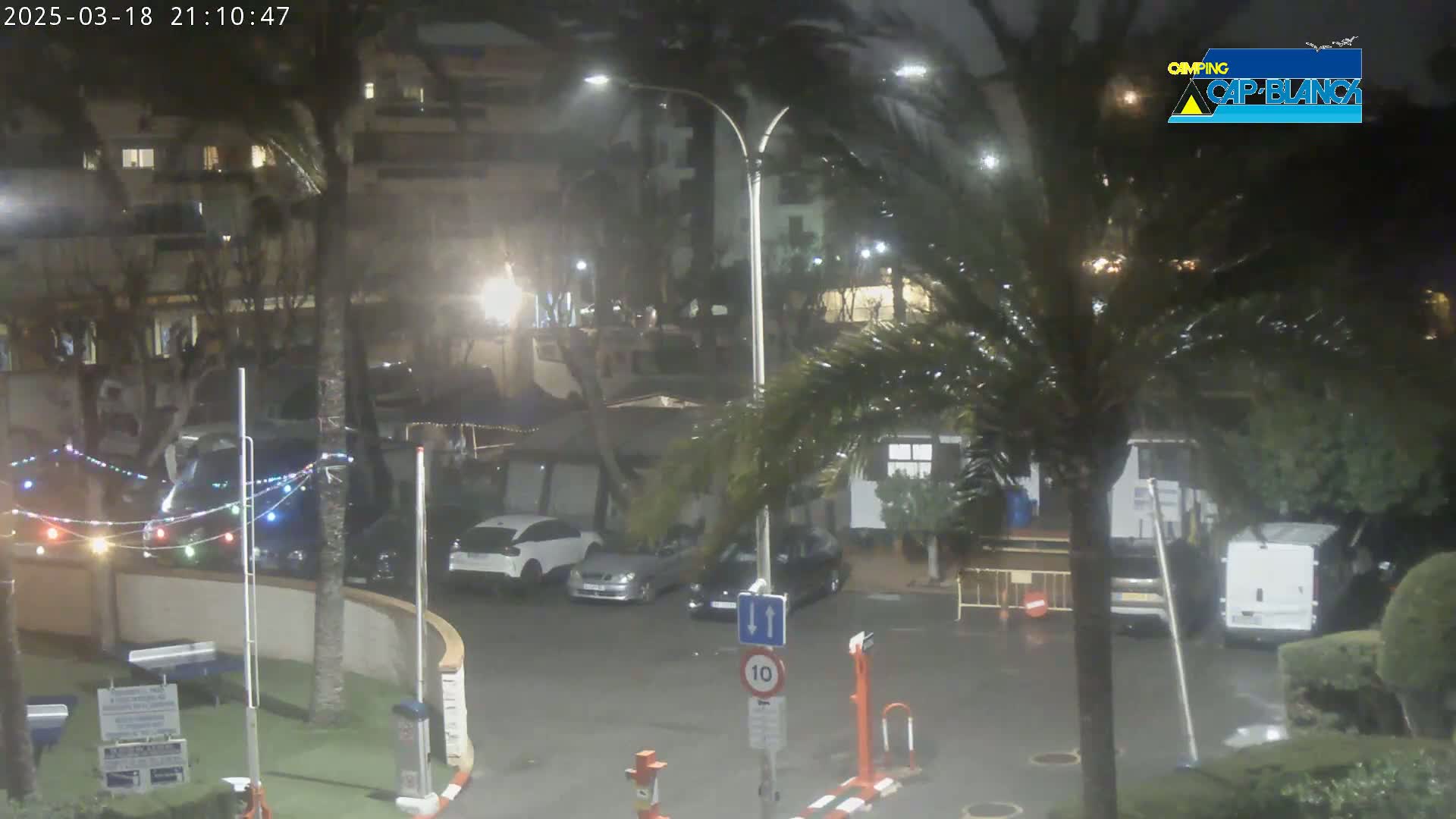 A nighttime scene of a parking lot with several cars and palm trees in the rain.