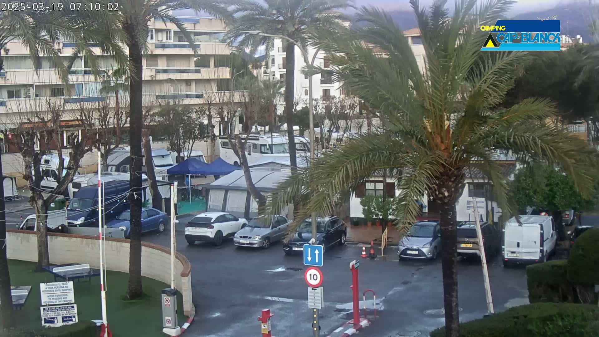 A parking lot with numerous cars and campervans is seen under an overcast sky, surrounded by palm trees and apartment buildings.