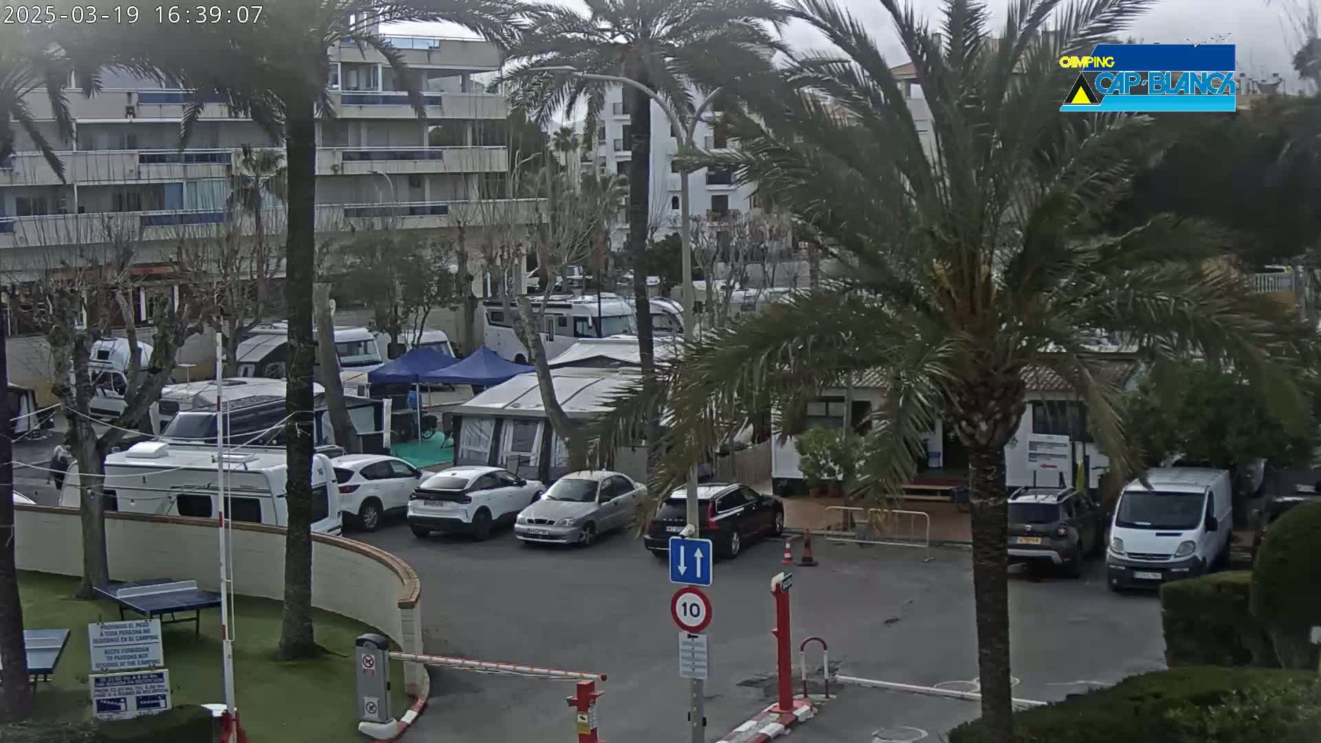 A parking lot filled with campervans and cars under an overcast sky, surrounded by palm trees and a multi-story building.
