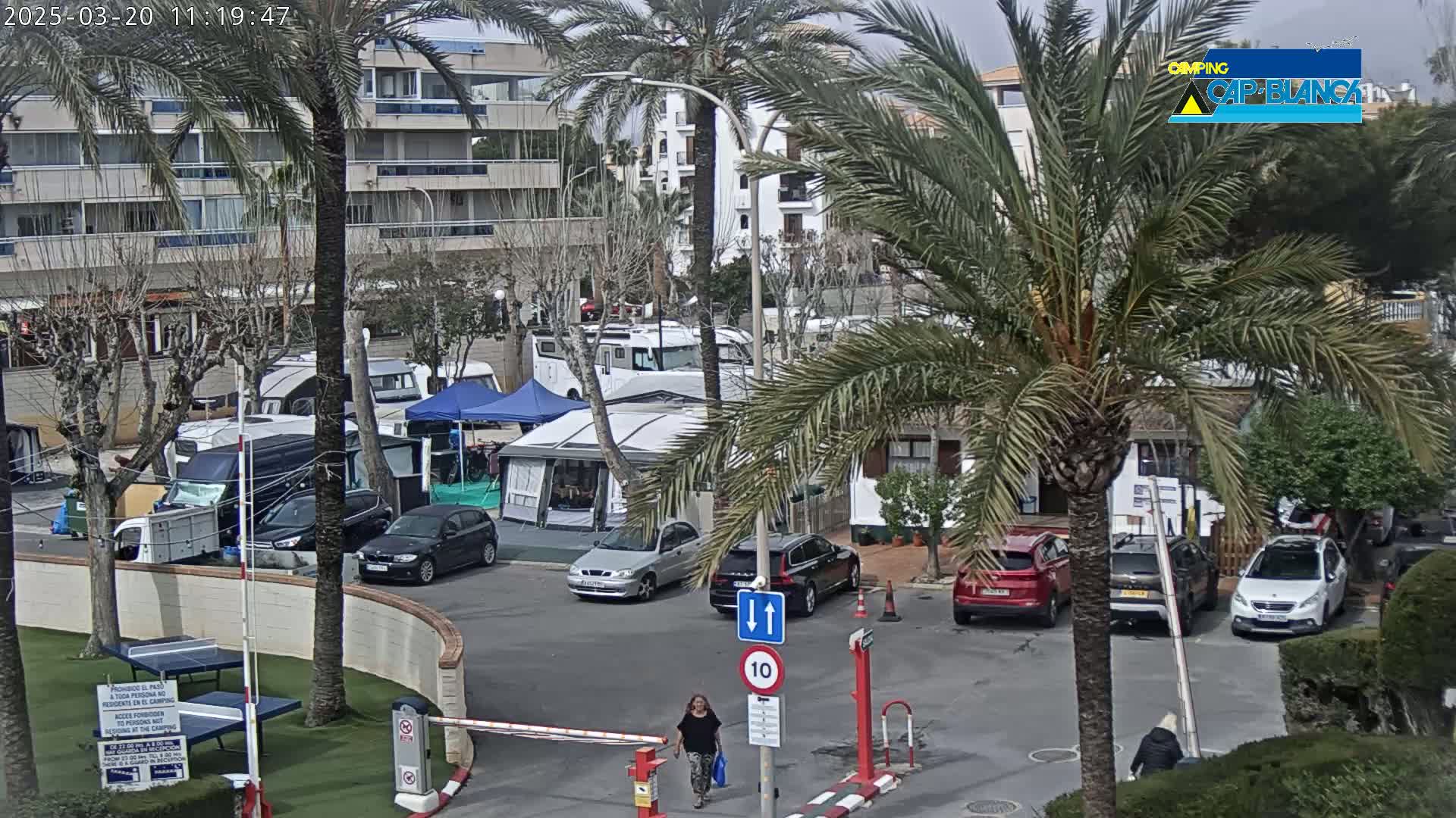 A parking lot with numerous campers and cars is partially visible under a mostly cloudy sky, with palm trees and buildings in the background.