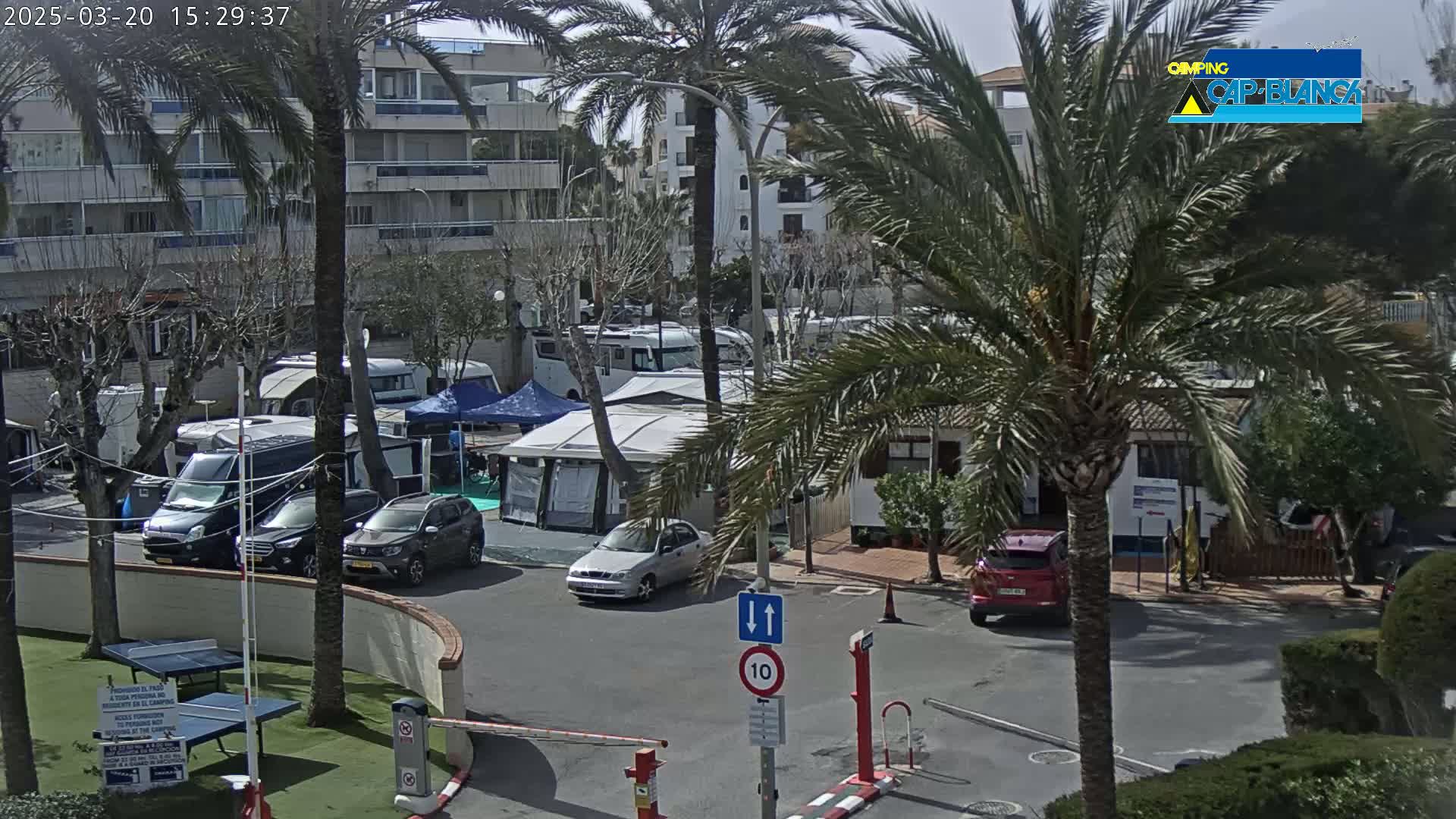 A sunny parking lot with numerous RVs and cars, surrounded by palm trees and low-rise buildings.