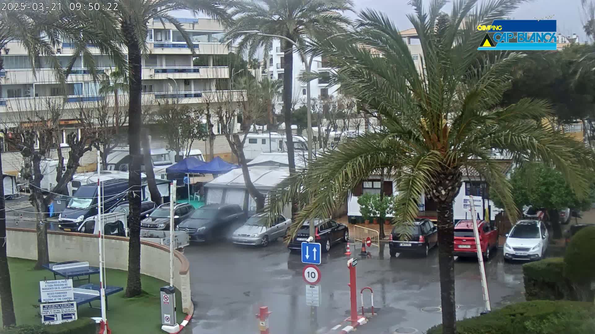 A wet parking lot with several cars and campervans is surrounded by palm trees and buildings under an overcast sky.