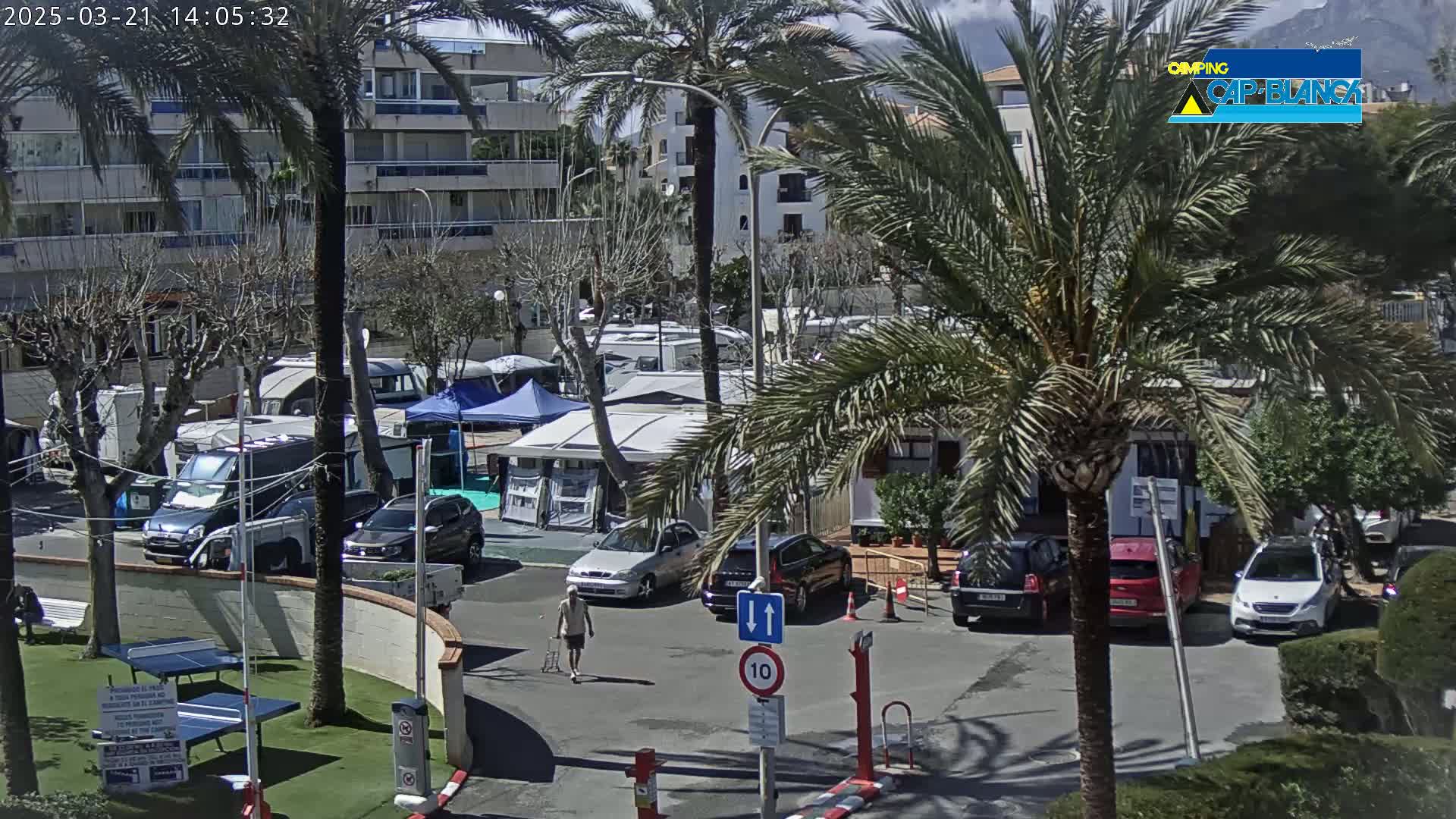 A sunny day at a campground with numerous RVs, cars, and palm trees, and a person walking near some buildings.