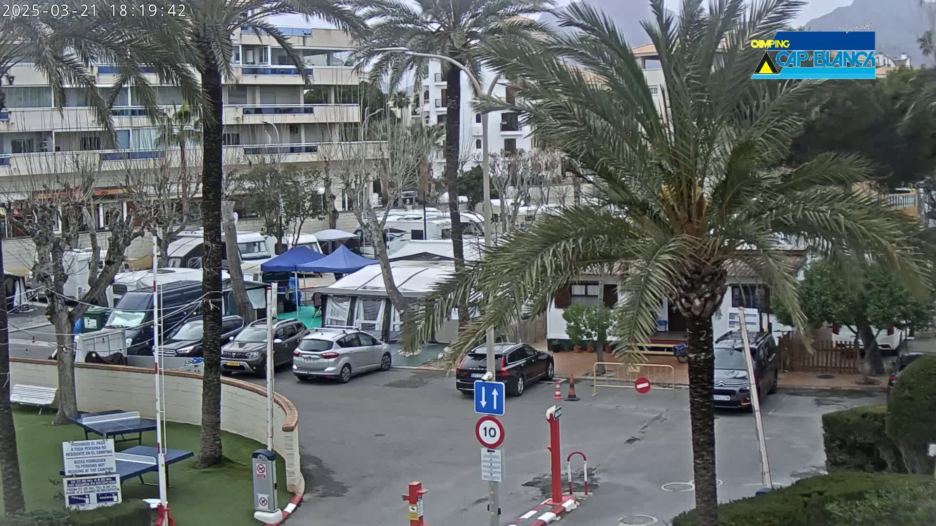 A parking lot filled with campervans and cars is partially visible under an overcast sky, surrounded by palm trees and buildings.