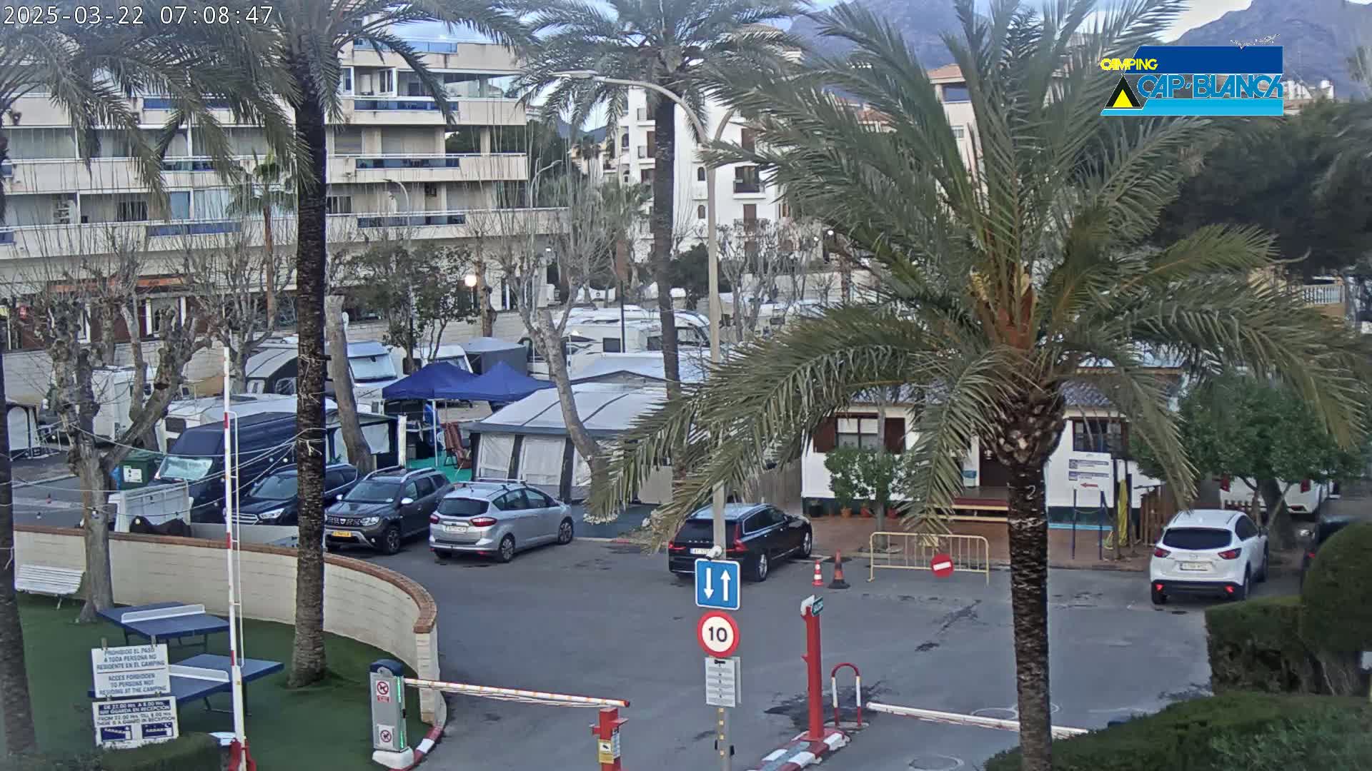 A sunny day reveals a parking lot filled with cars and campervans next to a multi-story building, all surrounded by palm trees and low vegetation with mountains in the background.