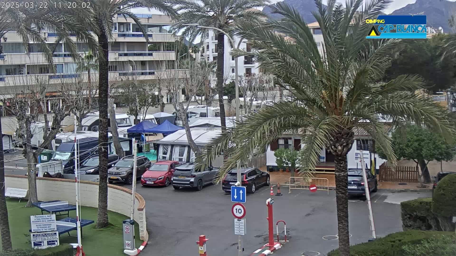 A parking lot with numerous campervans and cars, under a mostly cloudy sky, is partially obscured by palm trees and a multi-story building.