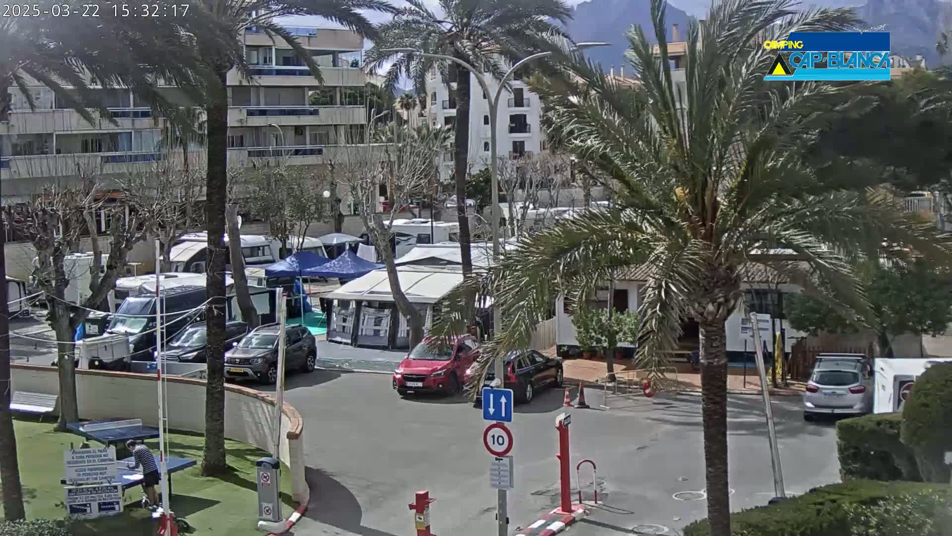 A sunny day at a campground, with numerous RVs and cars parked around a paved area, palm trees swaying in the breeze, and a person playing table tennis in the foreground.