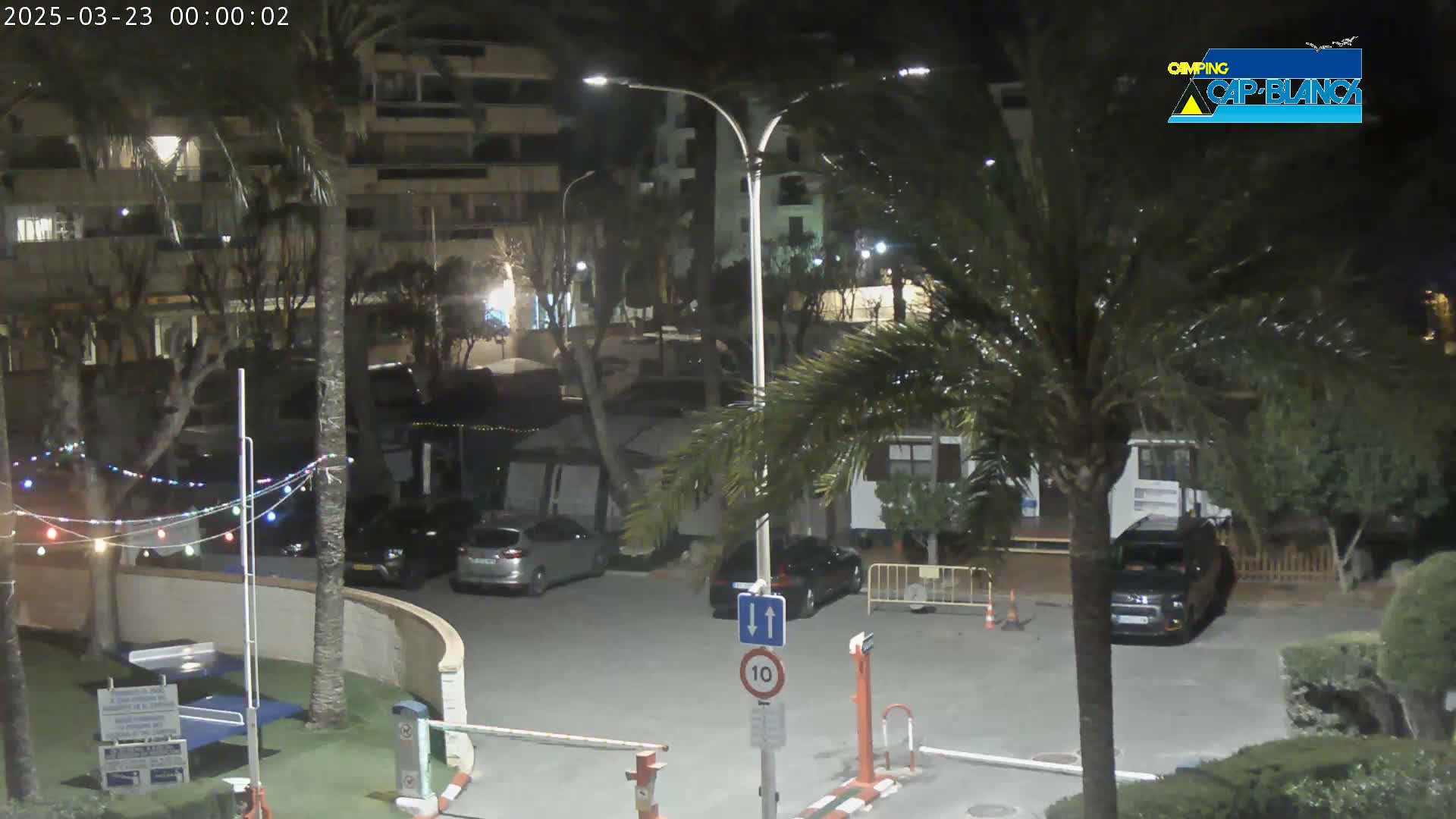 A nighttime view of a parking lot with several cars, palm trees, and buildings, illuminated by streetlights.