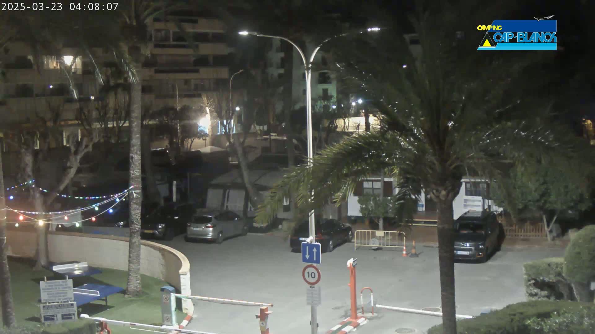 A nighttime view of a parking lot with several cars, palm trees, and a building in the background, illuminated by streetlights.