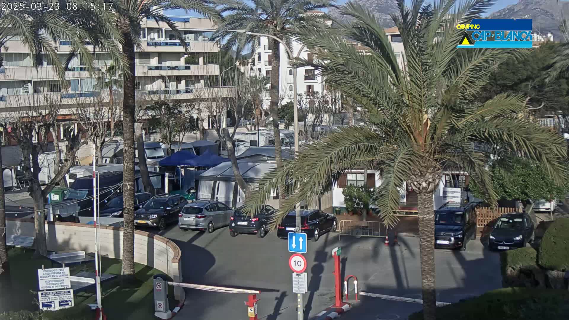 A sunny outdoor parking lot filled with numerous camper vans and cars is surrounded by palm trees and buildings.