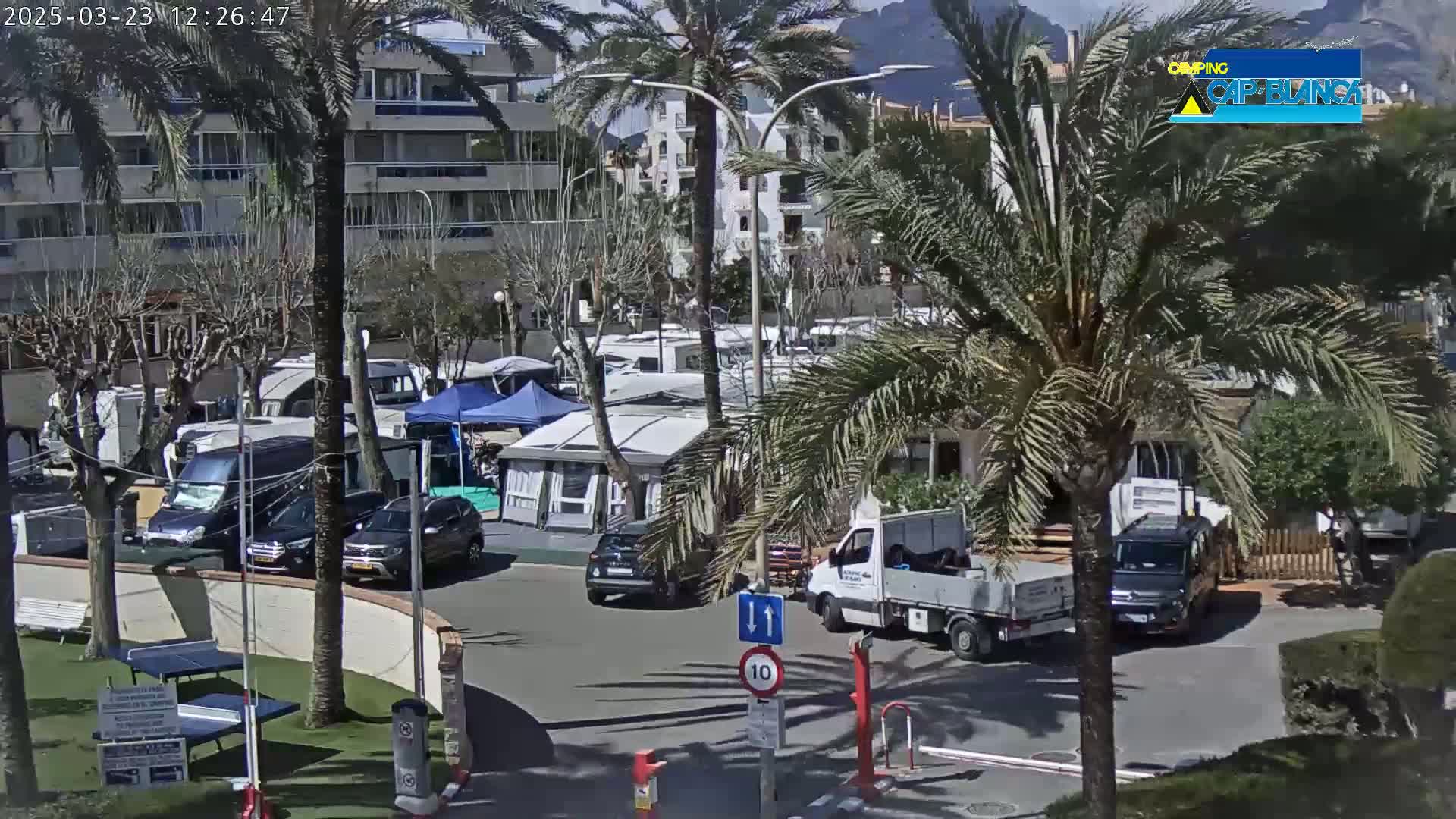 A sunny day at a campground with numerous RVs and cars parked amidst palm trees and apartment buildings.