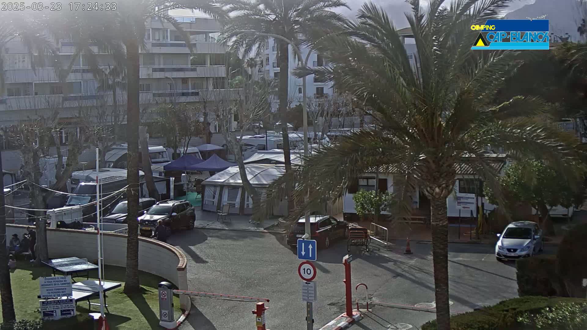 A sunny day reveals a campground with numerous campervans and tents nestled amongst palm trees and apartment buildings, near a road with a speed limit sign.