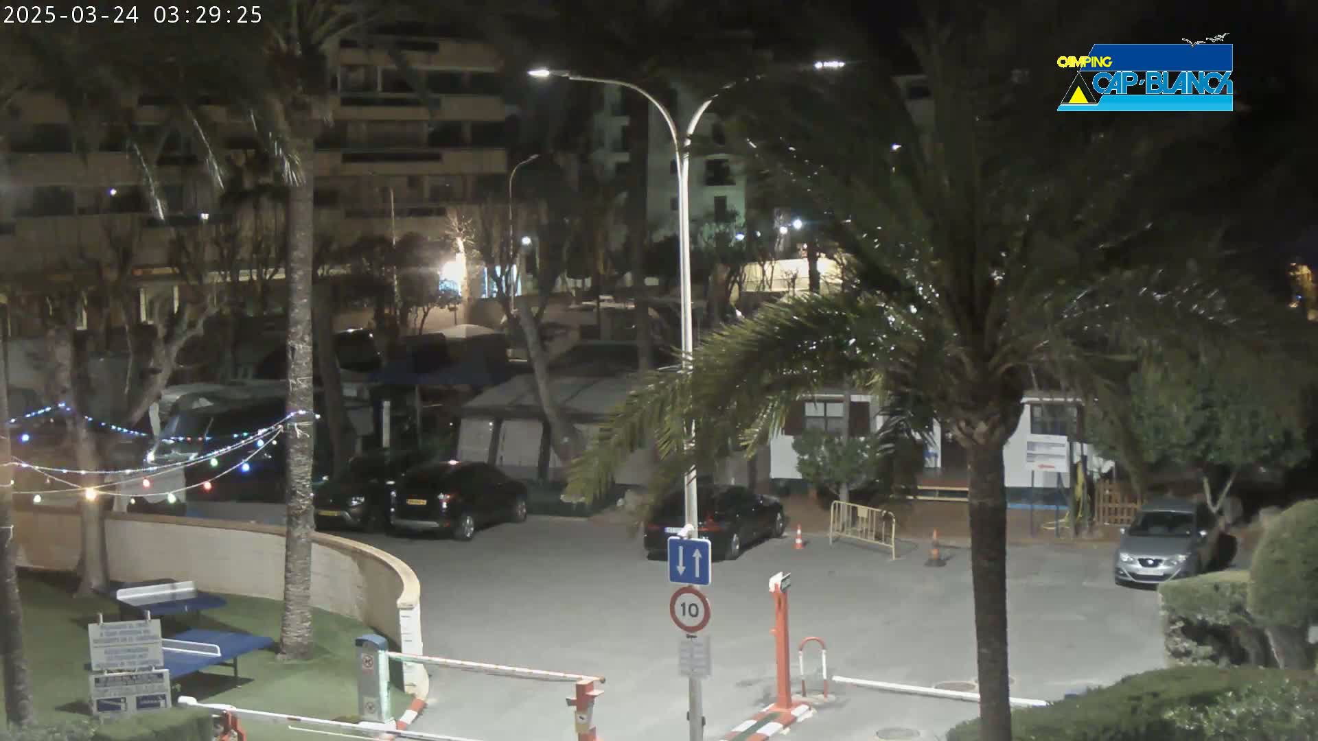 A nighttime scene of a parking lot with cars parked, palm trees, and buildings in the background under artificial light.