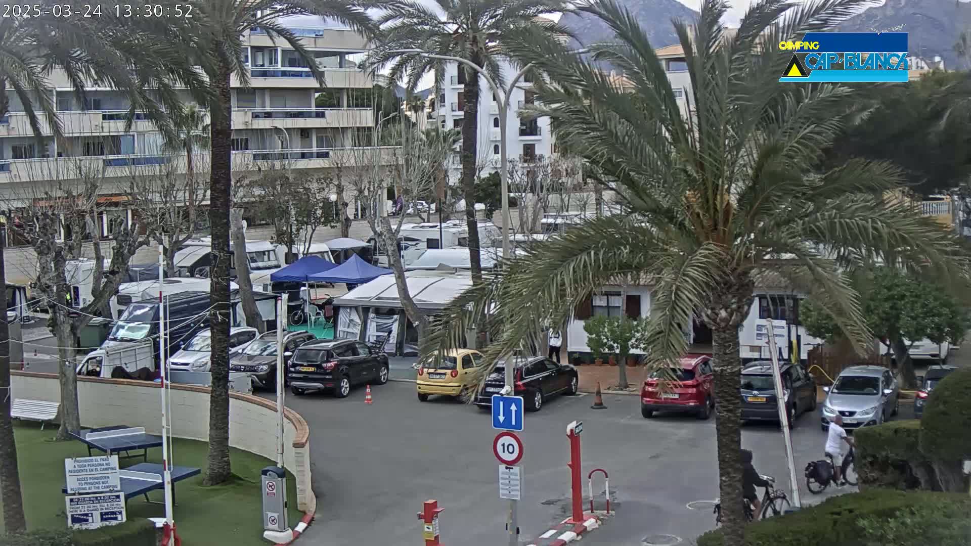 A campervan park sits near a multi-story building under a mostly cloudy sky, with palm trees and several cars parked nearby.