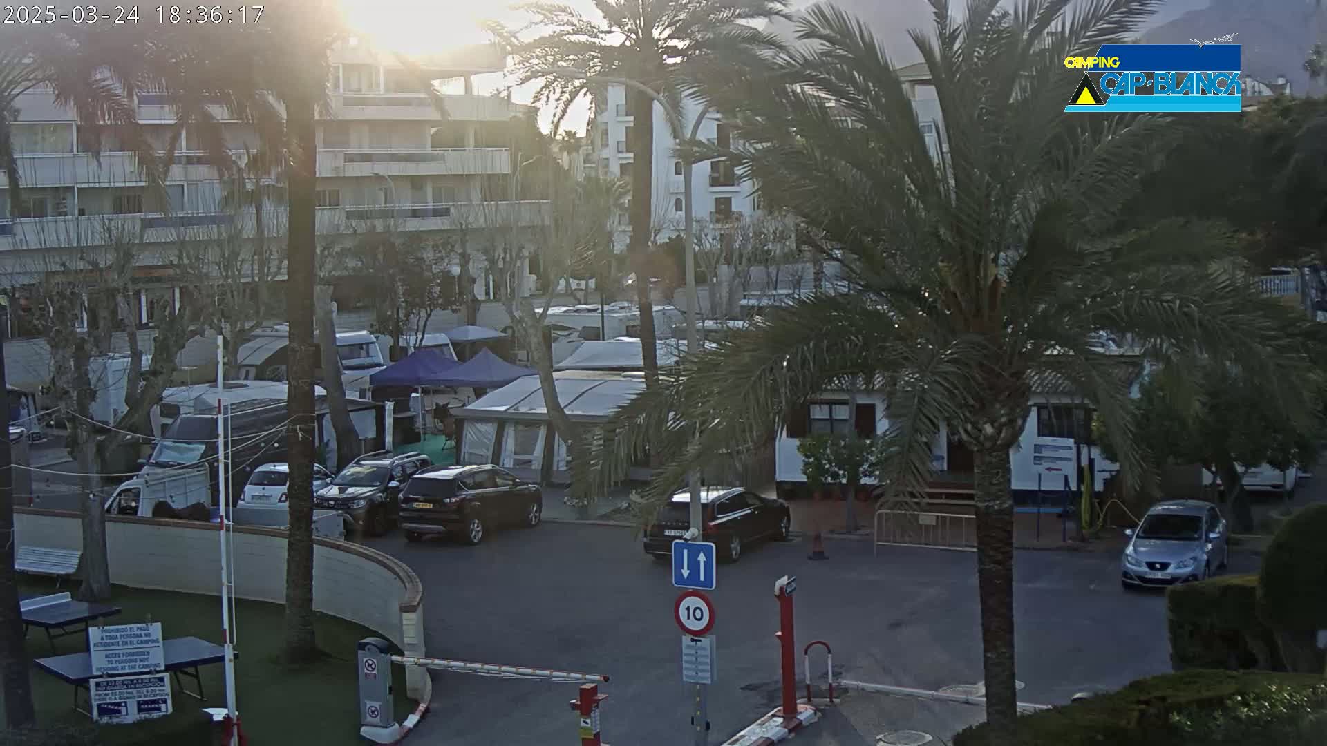 A sunny late afternoon view of a campground with numerous caravans and RVs parked near a multi-story building, surrounded by palm trees.