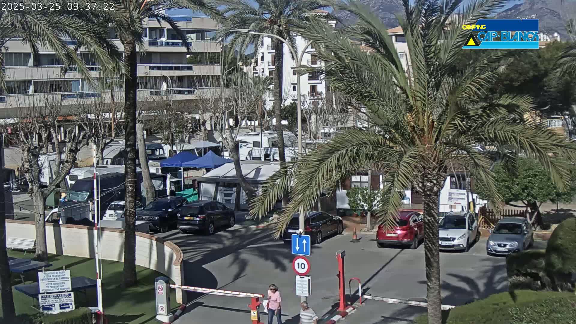 A sunny parking lot filled with cars and recreational vehicles is surrounded by palm trees, buildings, and landscaping.