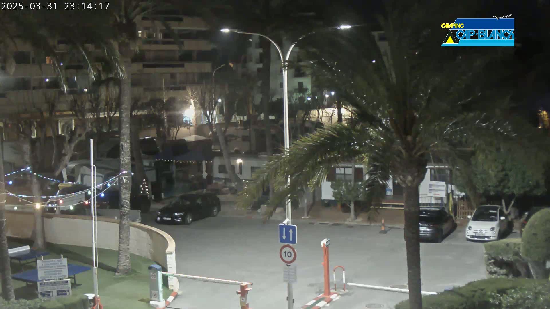 At night, a parking lot with several cars is situated near palm trees and buildings, under string lights.