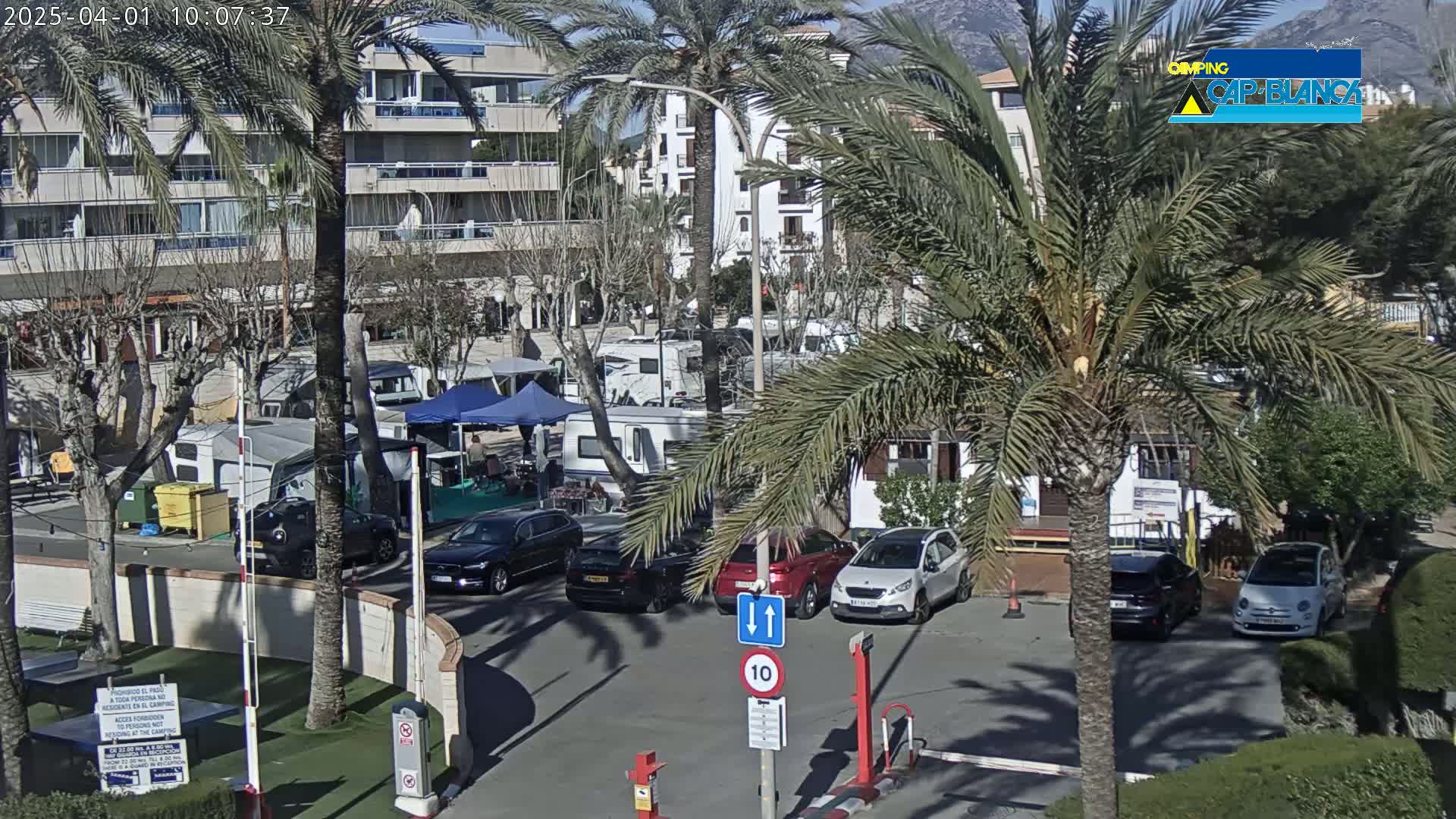 A sunny parking lot with numerous cars and campervans is surrounded by palm trees and buildings.