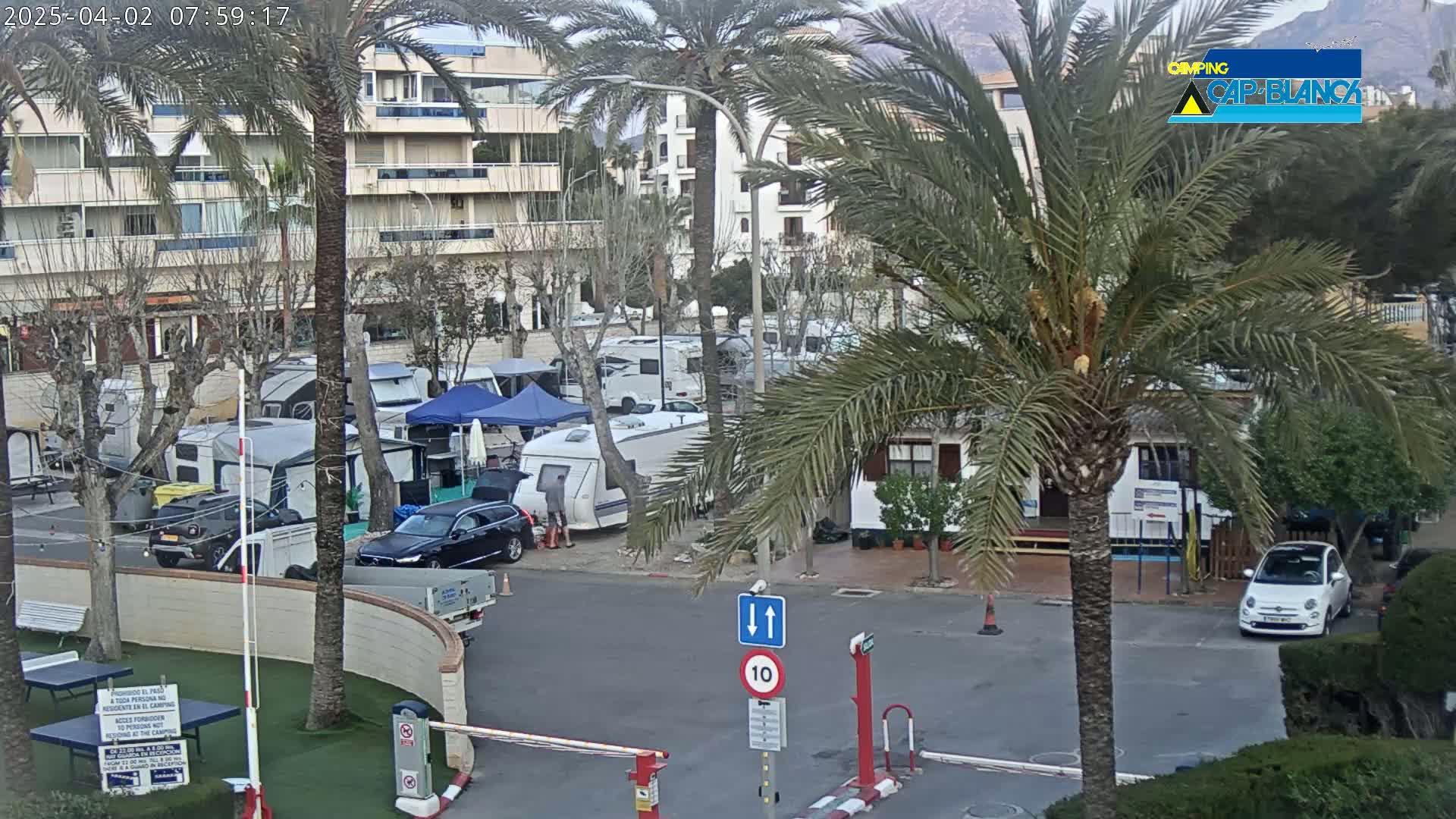 A parking lot with numerous campervans and cars is situated near a multi-story building, under an overcast sky, surrounded by palm trees.