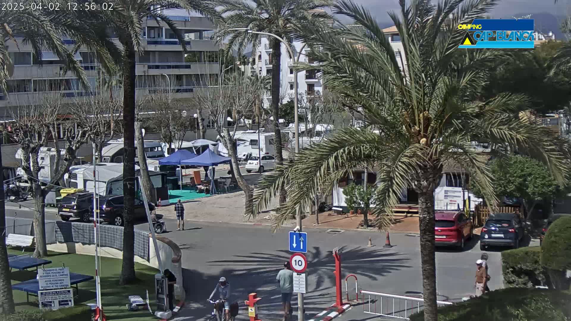 A sunny day in a campground with several RVs parked, people walking around, and palm trees swaying in the breeze.