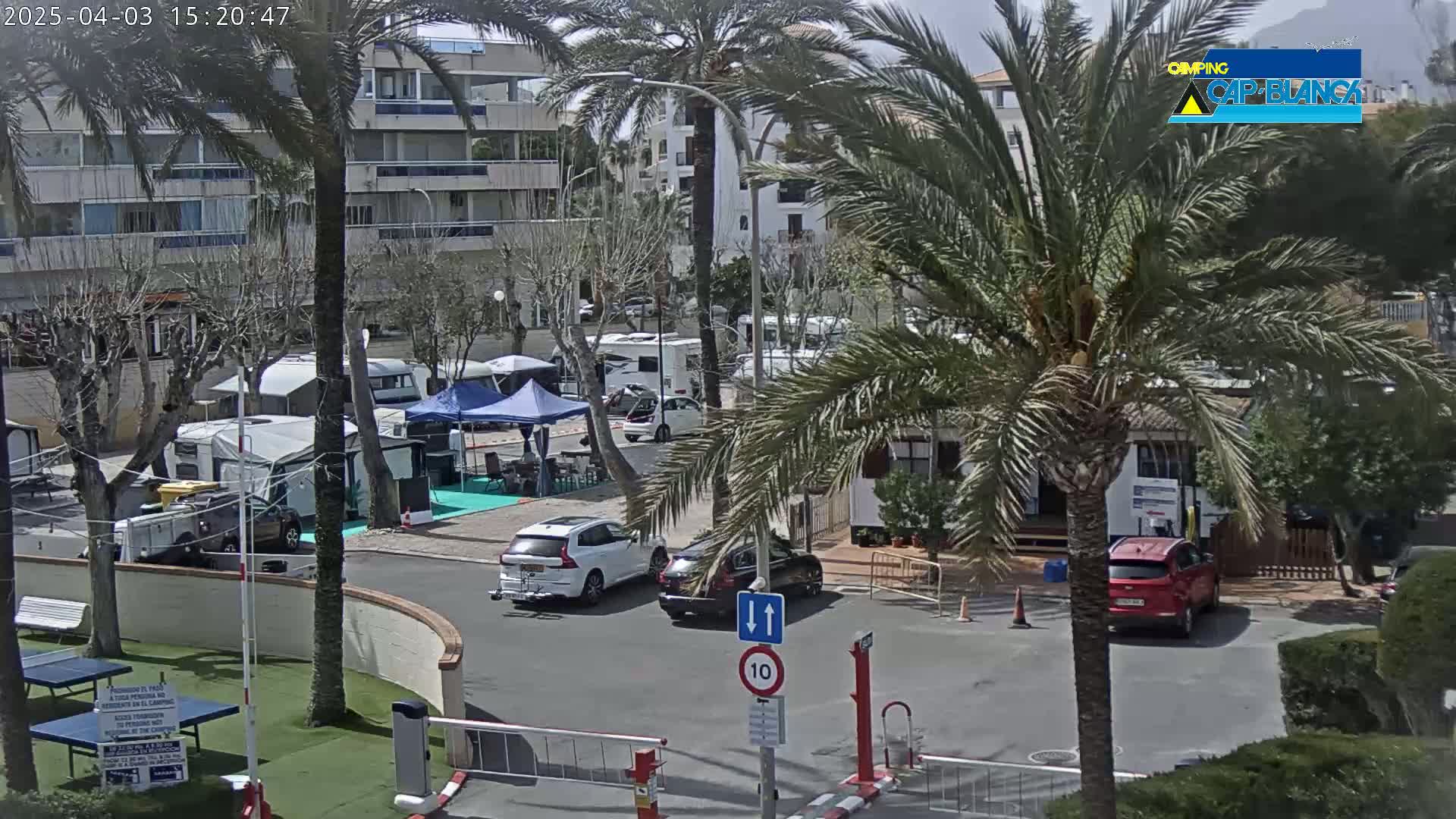 A sunny outdoor scene shows a parking lot with several cars and campervans near palm trees and a multi-story building.