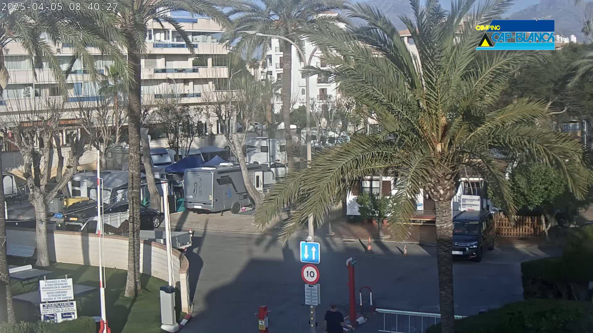 A sunny outdoor scene shows a parking lot filled with campervans and RVs near apartment buildings and palm trees.