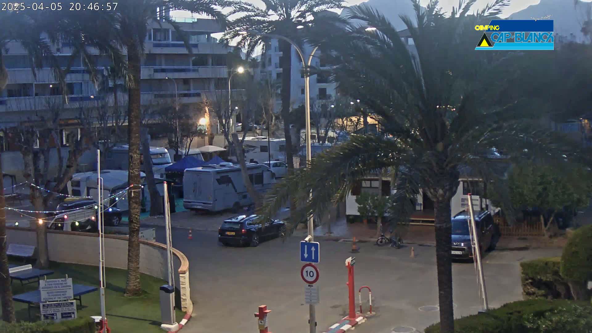 A nighttime view of a campground with RVs, cars, and palm trees, under a dusky sky.