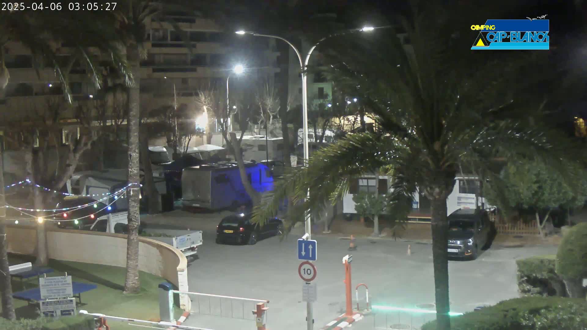 A nighttime view of a parking lot with several vehicles, palm trees, and string lights, under artificial lighting.