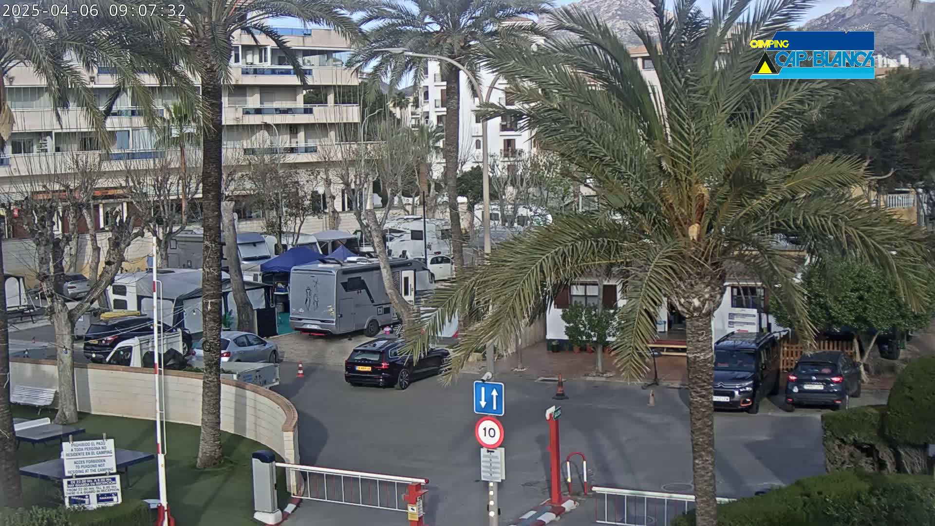 A sunny parking lot with numerous campervans and cars is surrounded by palm trees and buildings, with mountains visible in the background.
