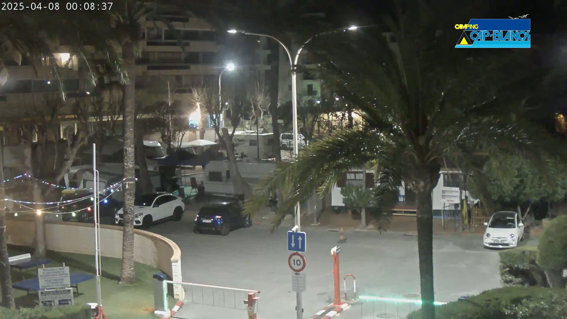 A nighttime scene in a parking lot shows several cars parked near palm trees and buildings under artificial light.