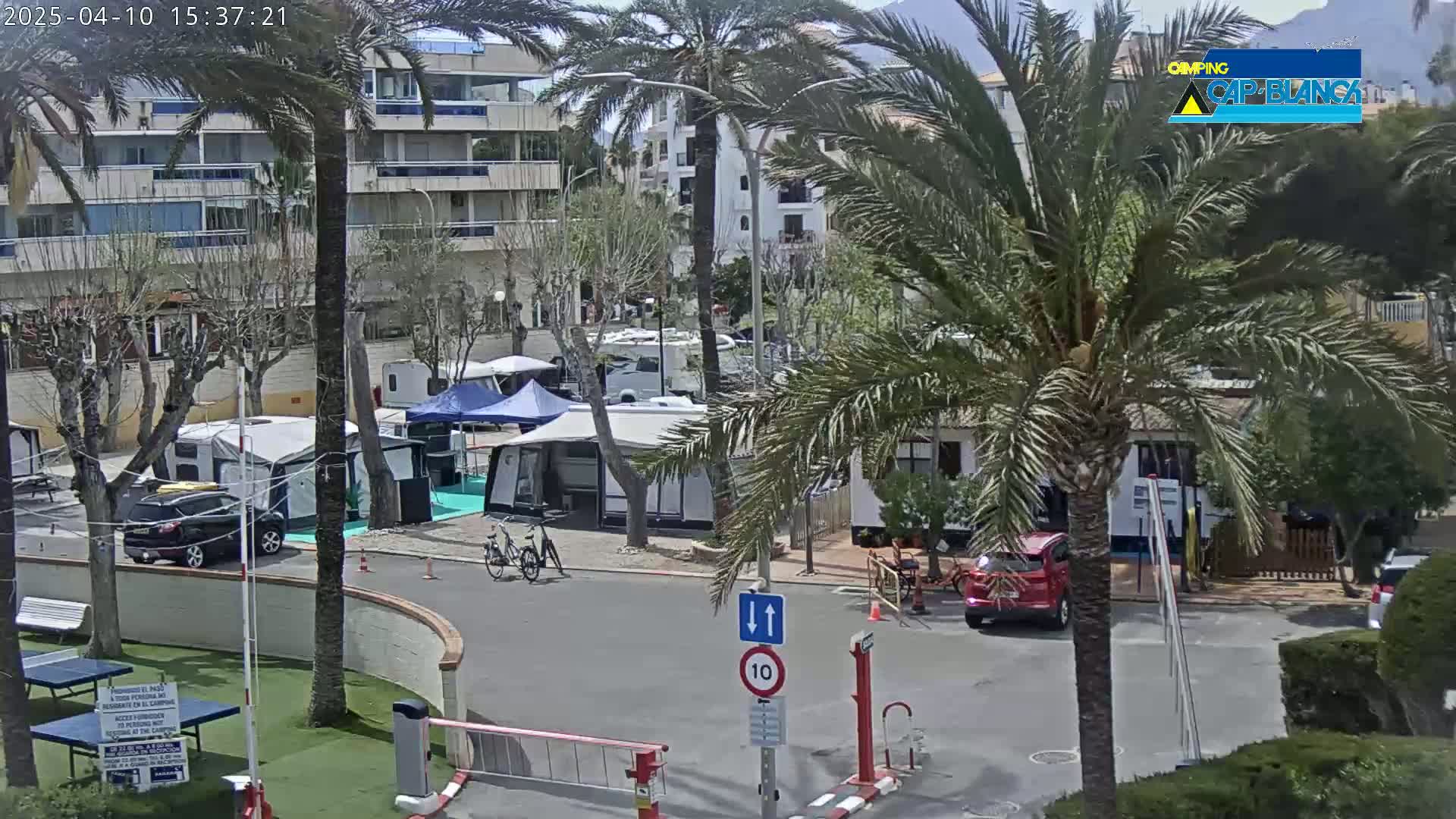 A sunny day at a campground with numerous campervans and tents situated near a multi-story building and palm trees, with cars and bicycles parked nearby.